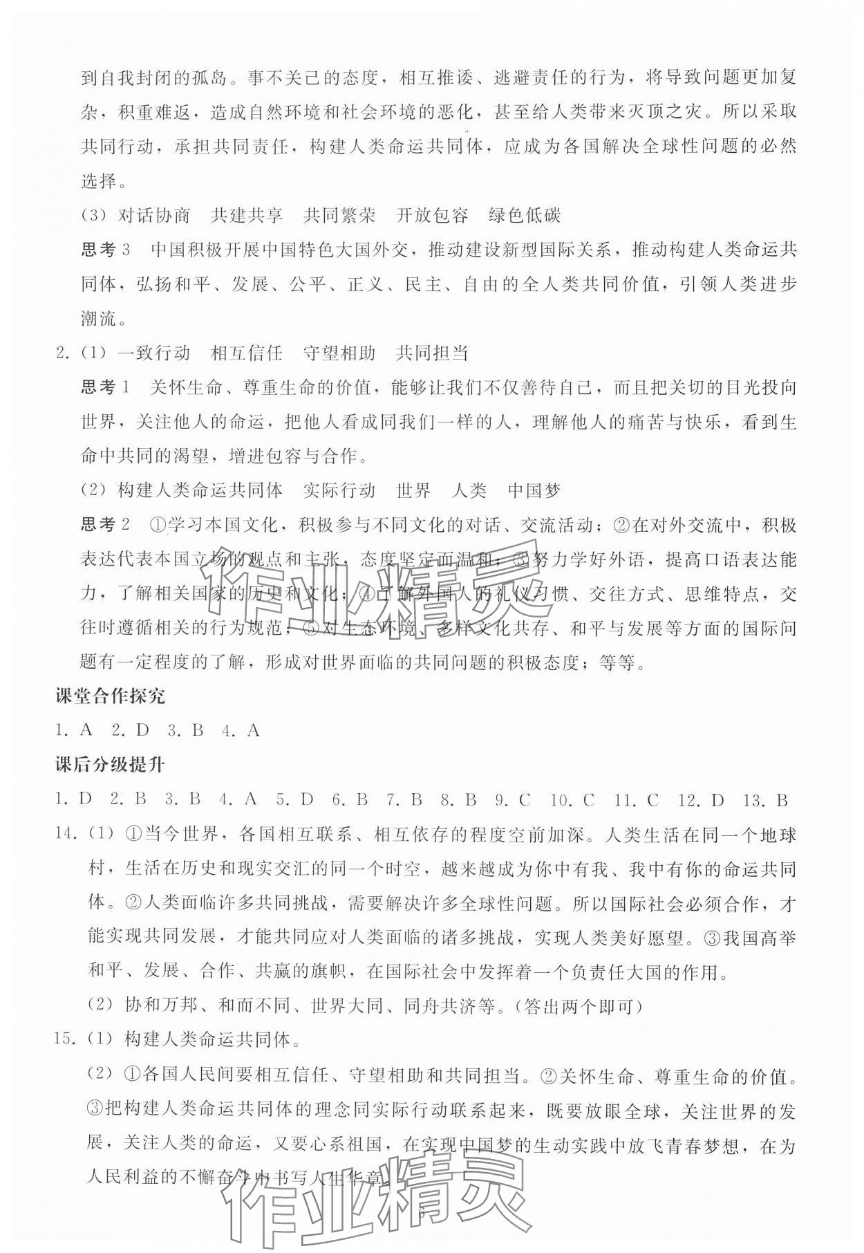 2025年同步輕松練習(xí)九年級道德與法治下冊人教版 參考答案第5頁