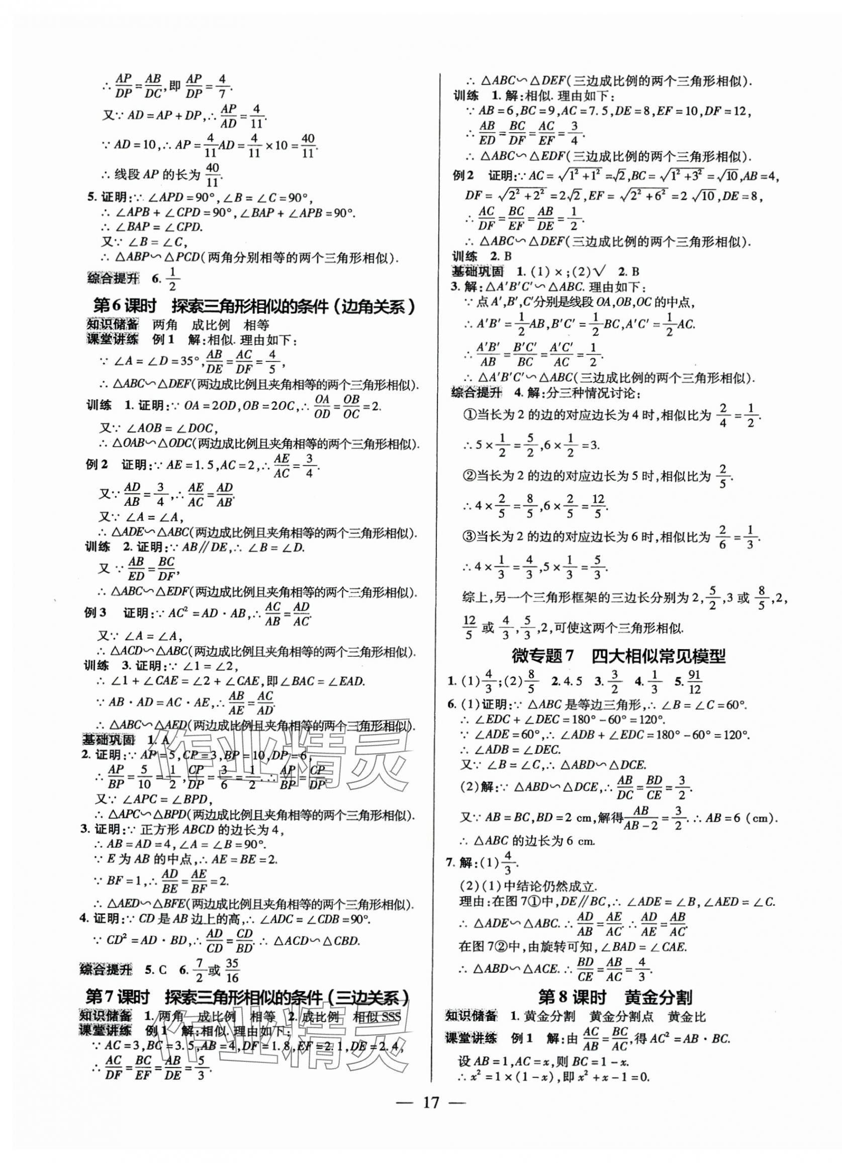 2025年領(lǐng)跑作業(yè)本九年級數(shù)學(xué)全一冊北師大版 第17頁