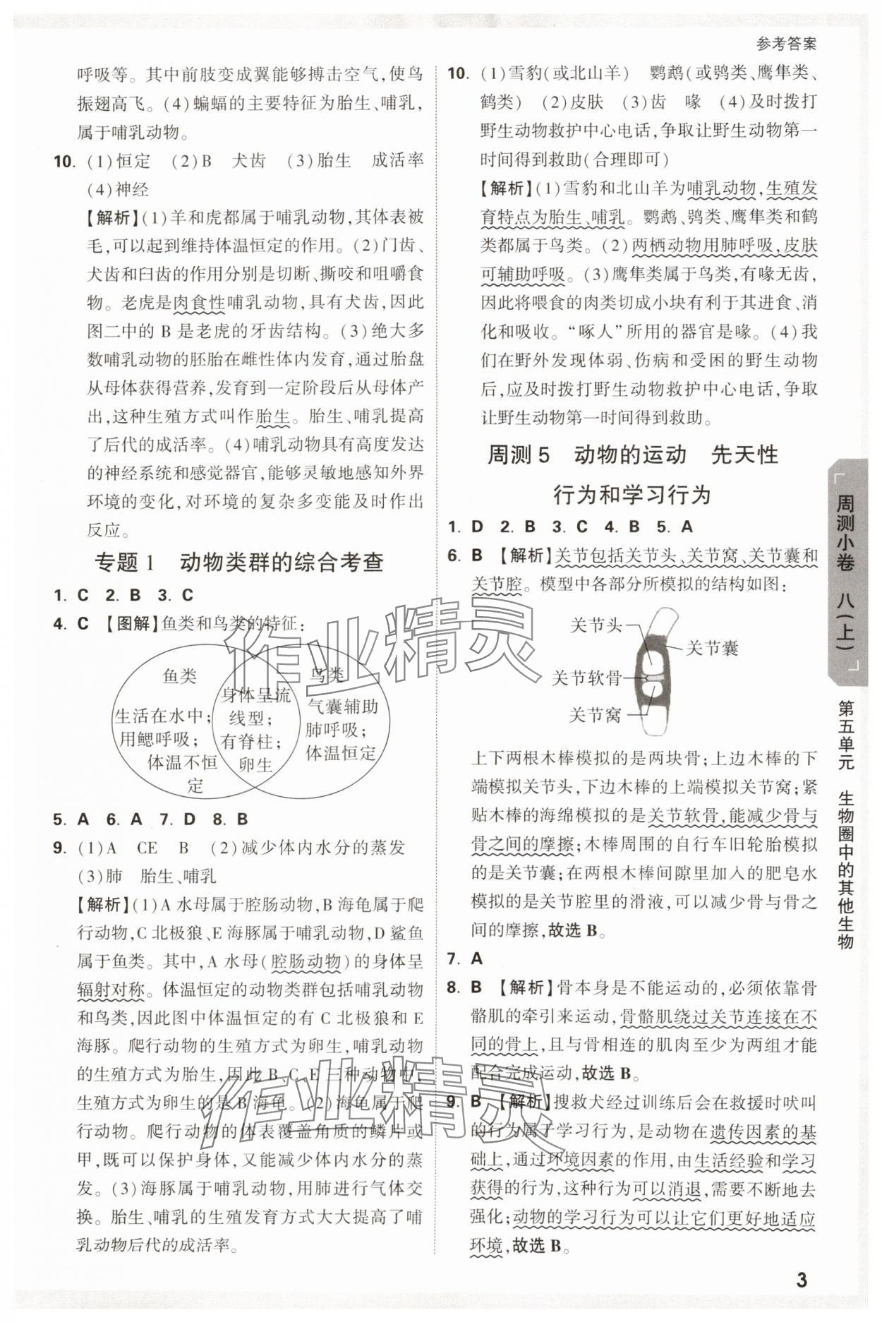 2024年萬唯中考大小卷生物中考 參考答案第3頁
