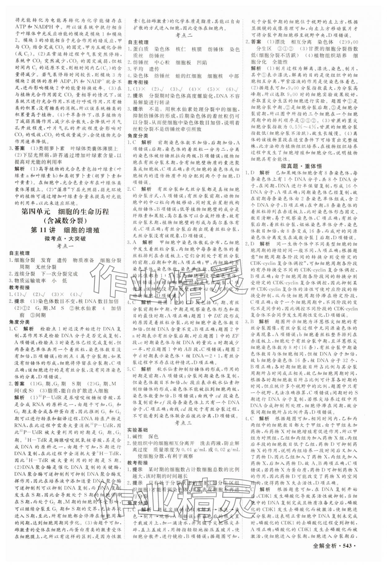 2025年贏在微點高中生物 參考答案第12頁