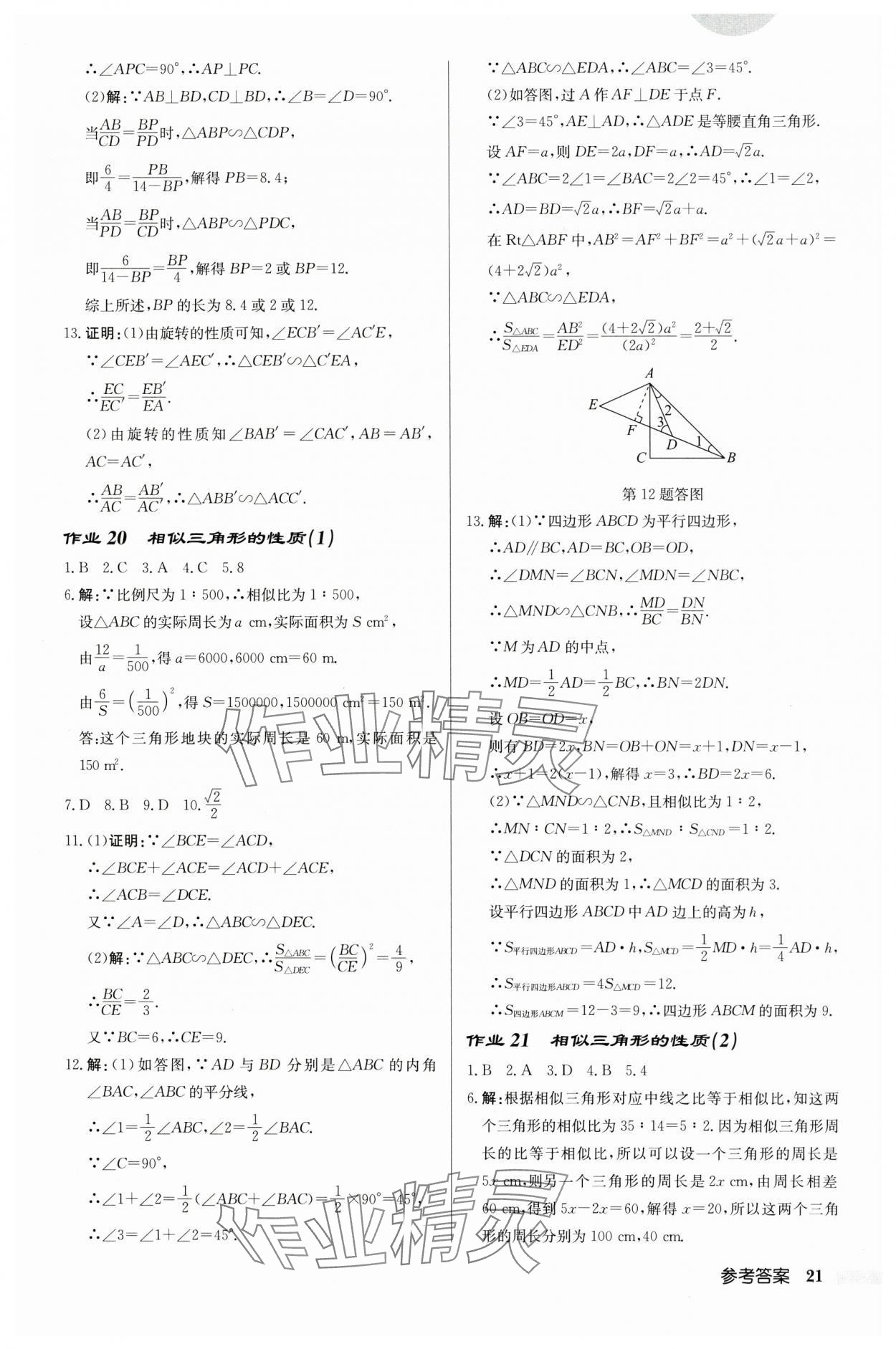 2024年啟東中學(xué)作業(yè)本九年級(jí)數(shù)學(xué)下冊蘇科版連淮專版 第21頁