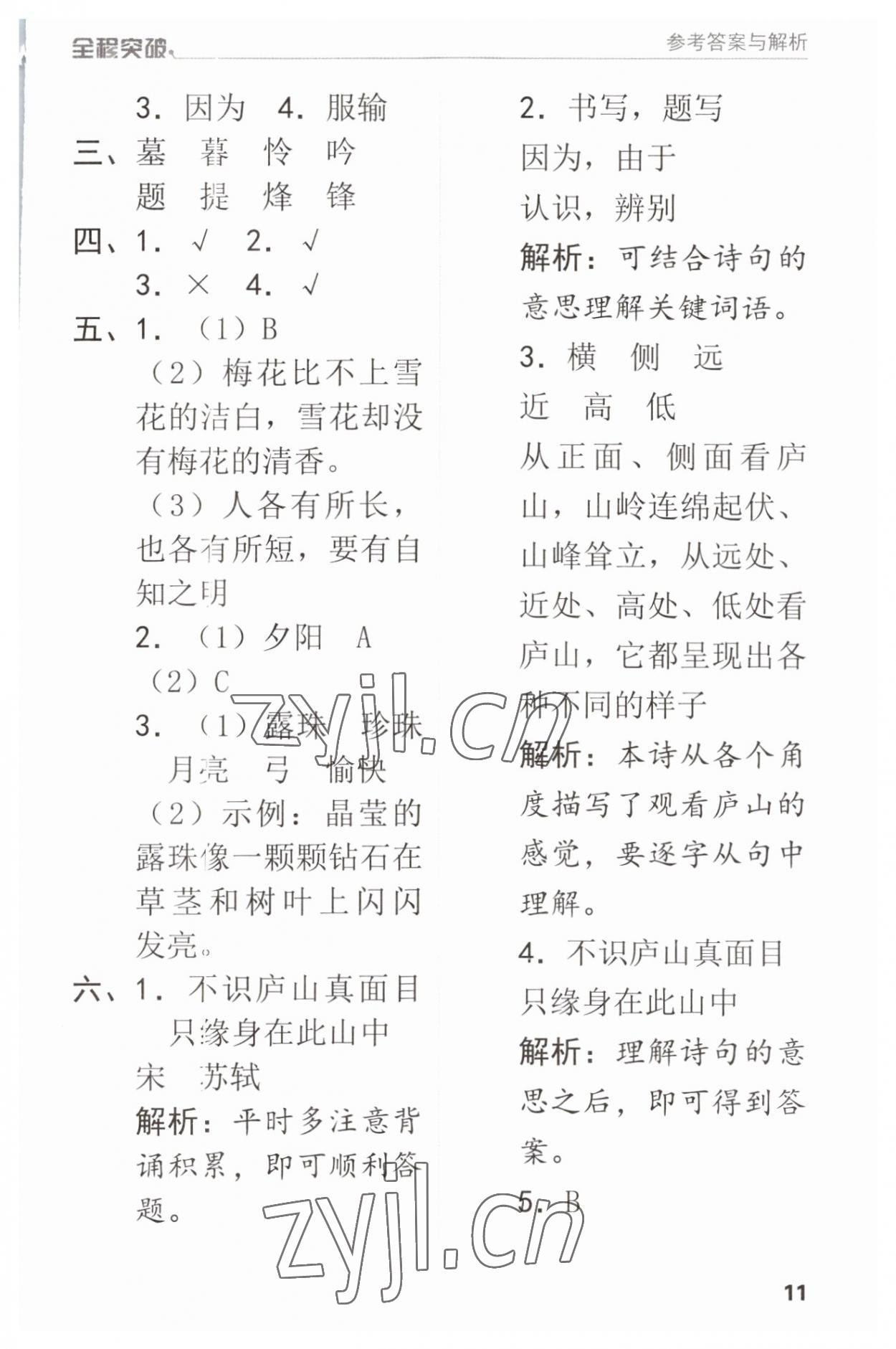 2023年全程突破四年級(jí)語文上冊(cè)人教版 第11頁(yè)