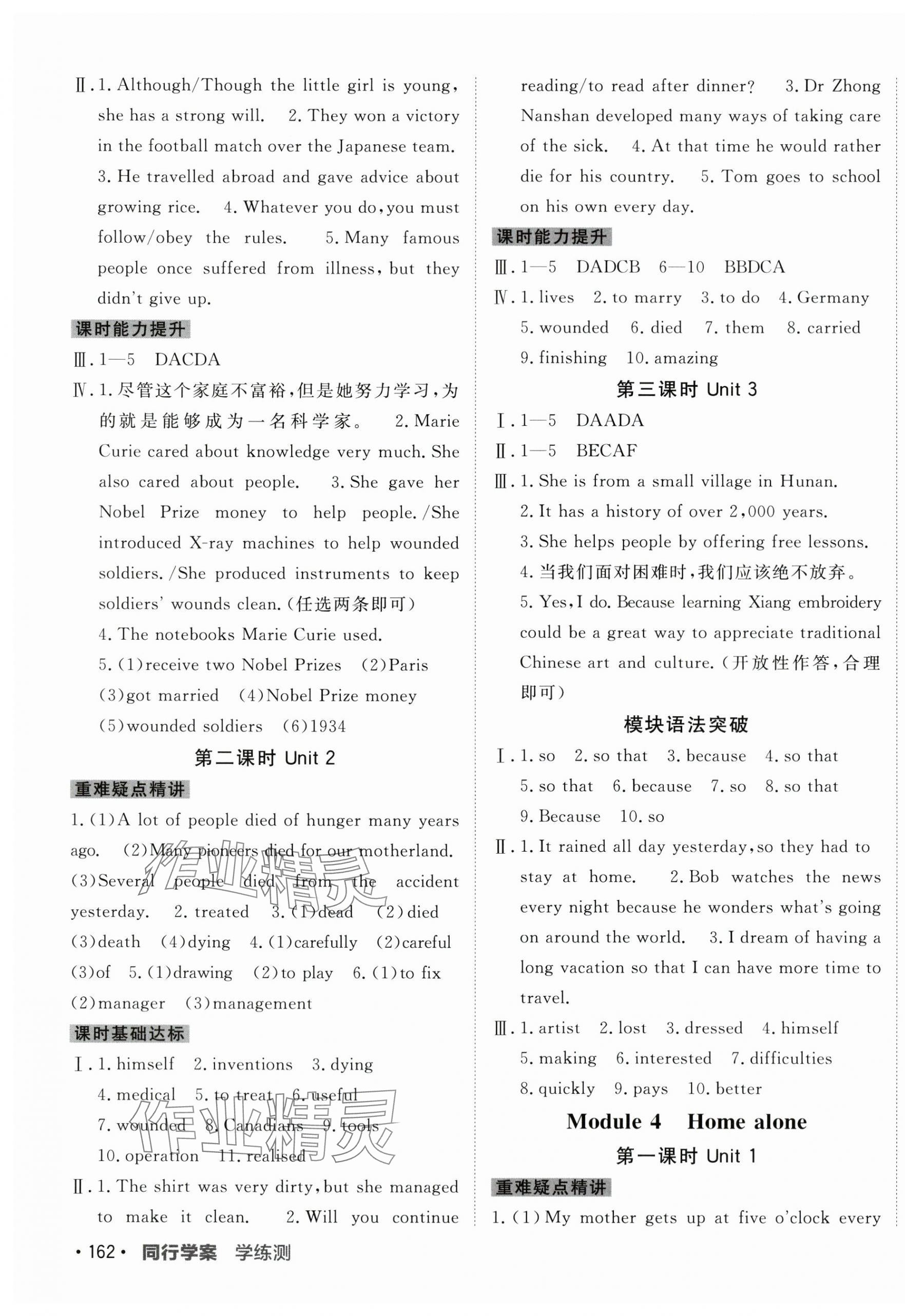 2025年同行学案九年级英语上册外研版 第3页