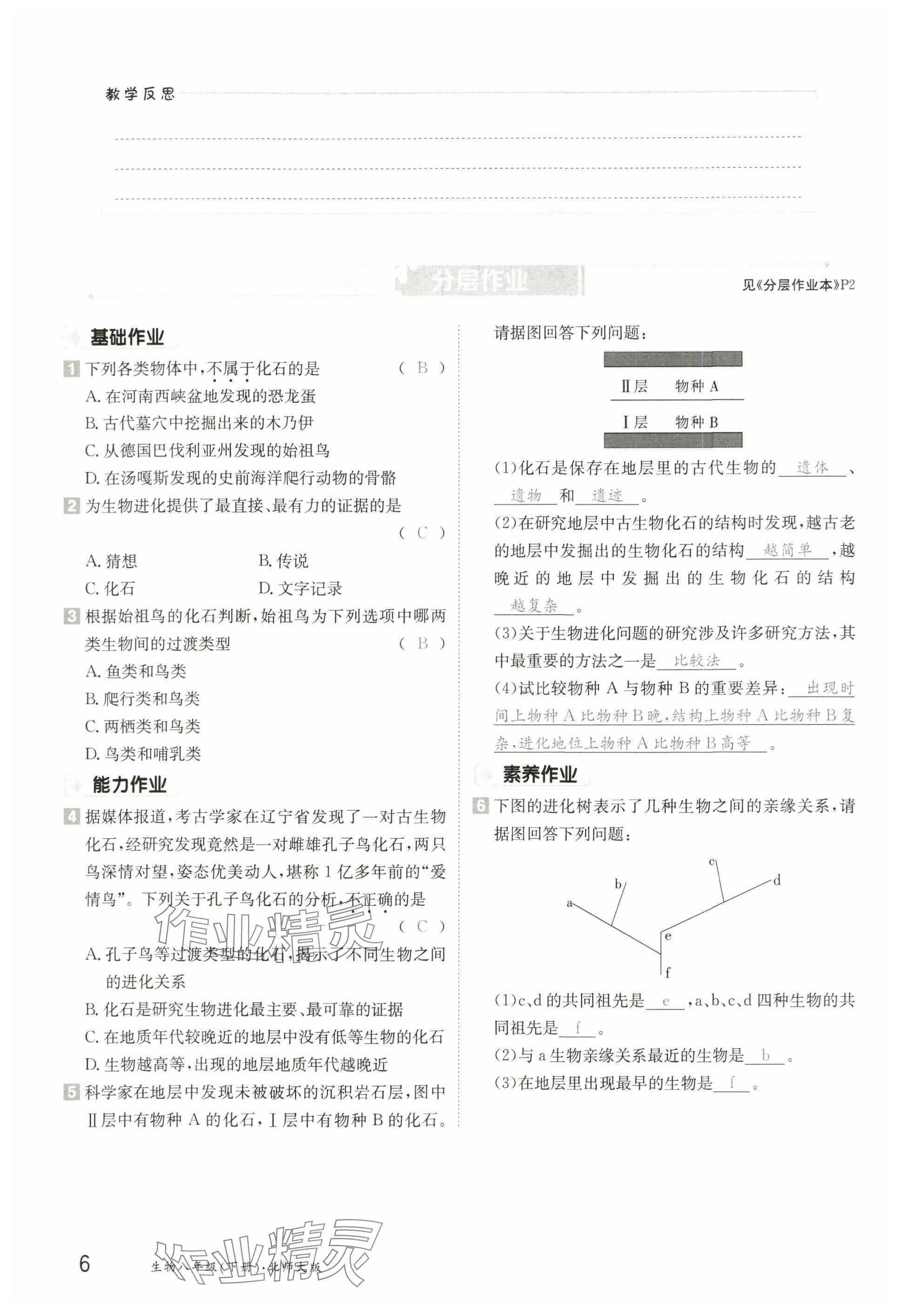 2025年金太陽導學案八年級生物下冊北師大版 參考答案第5頁