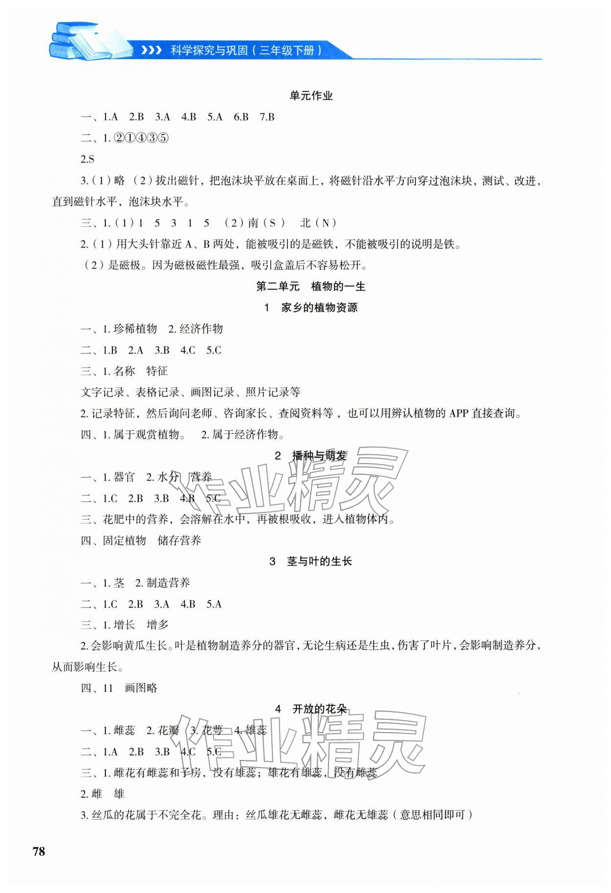 2026年科学探究与巩固三年级下册大象版&nbsp;第2页