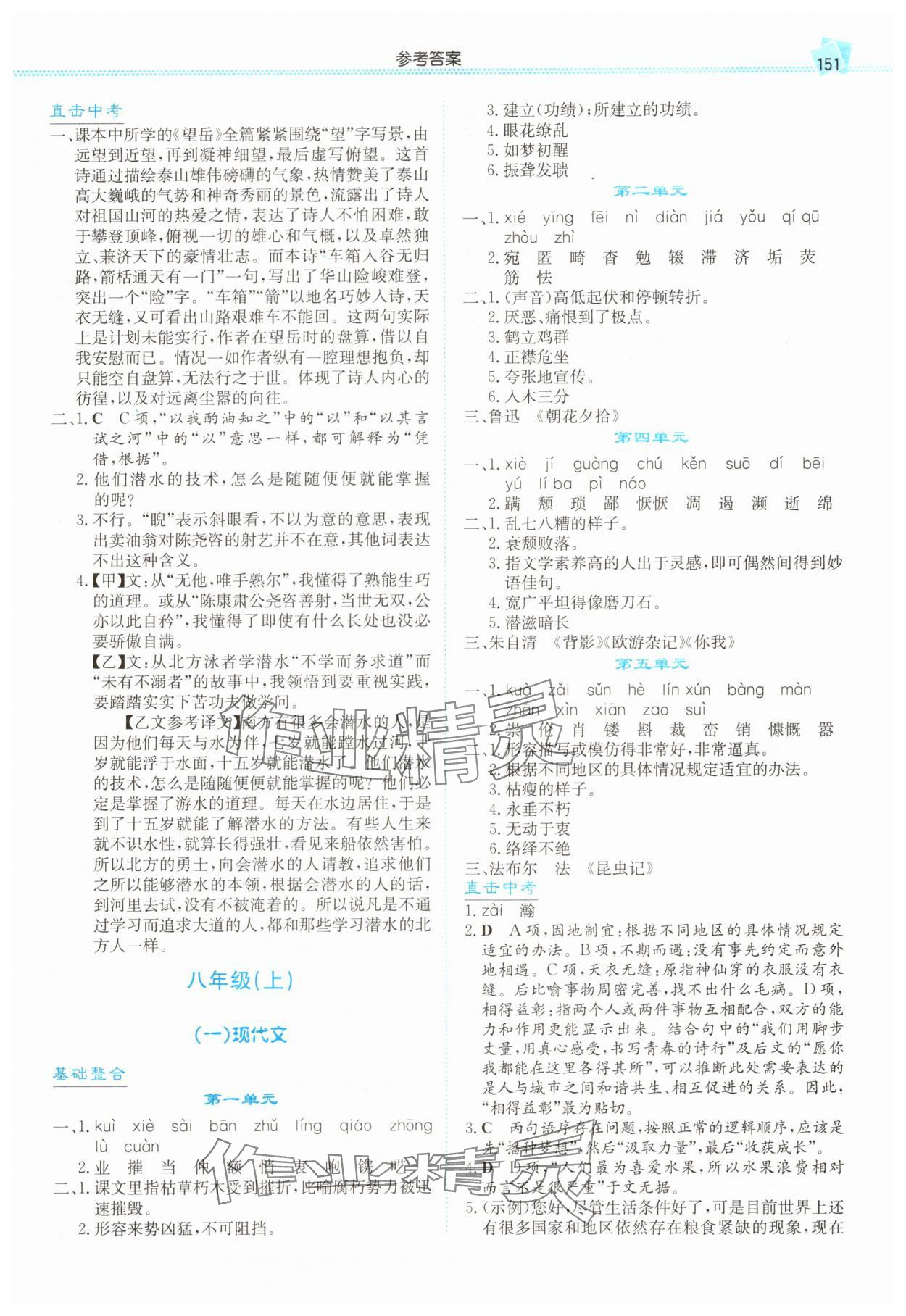 2025年湘教考苑中考总复习语文湘西版 第5页