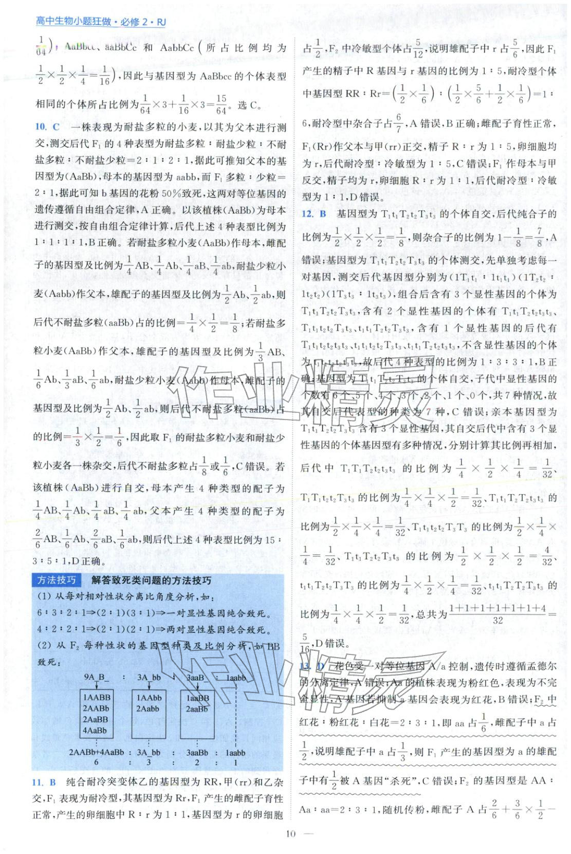 2025年小题狂做高中生物必修第二册人教版 第10页