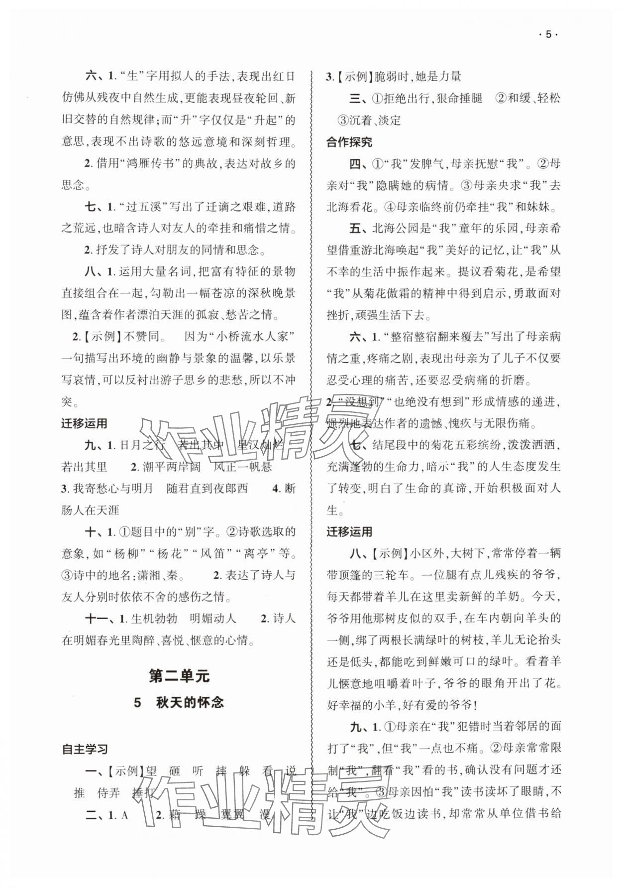 2025年基础训练大象出版社七年级语文上册人教版 第5页