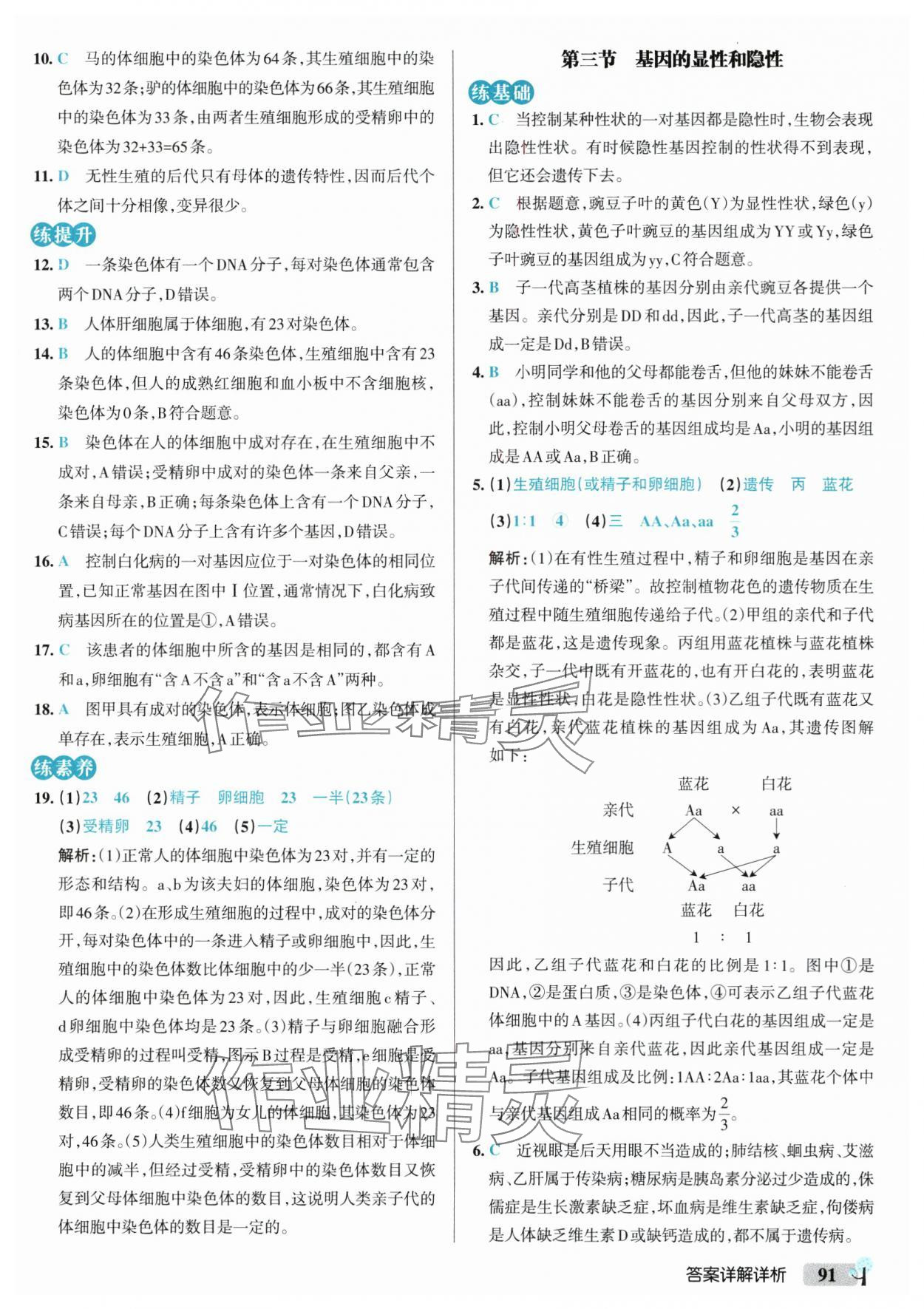 2025年初中學(xué)霸創(chuàng)新題八年級(jí)生物下冊(cè)人教版 參考答案第9頁
