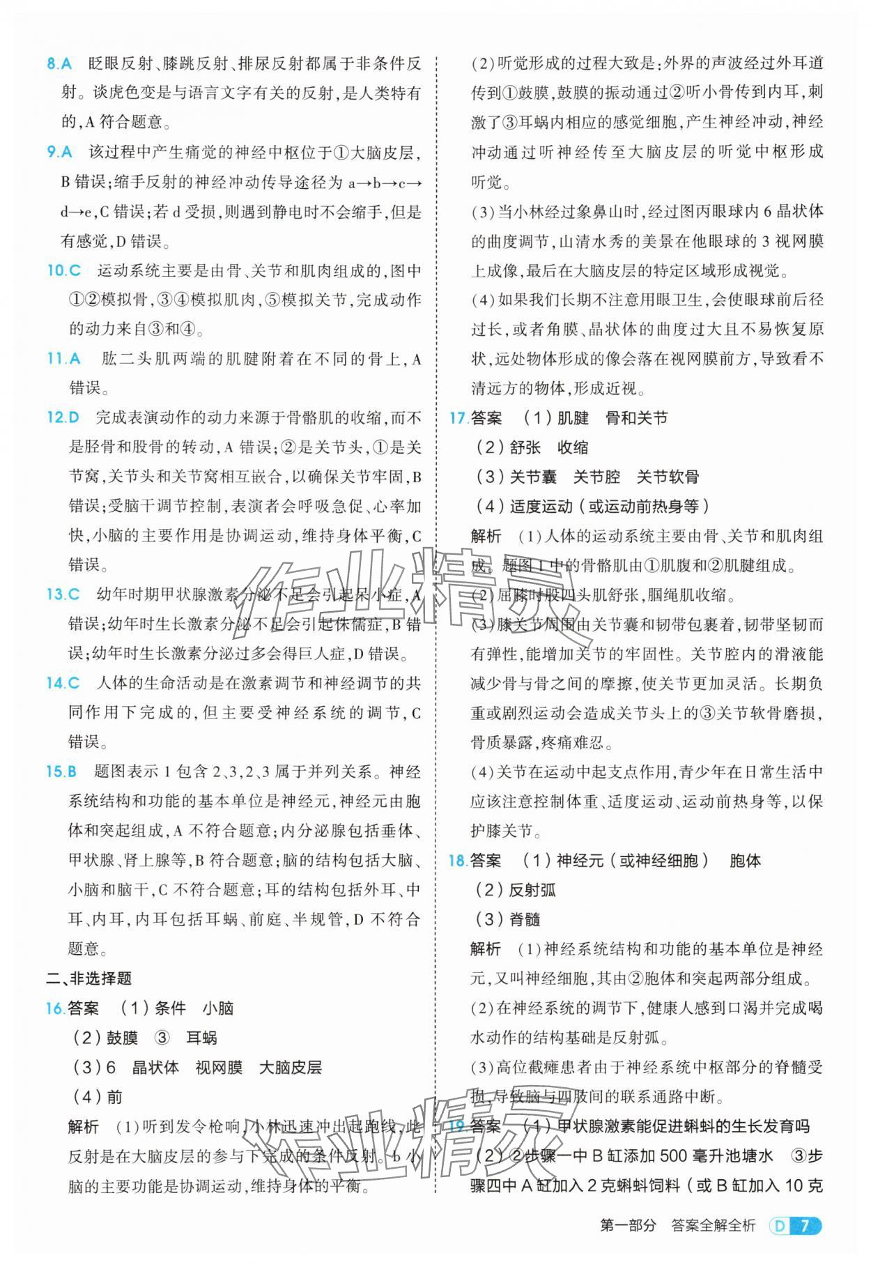 2025年5年中考3年模擬八年級生物上冊人教版 第7頁