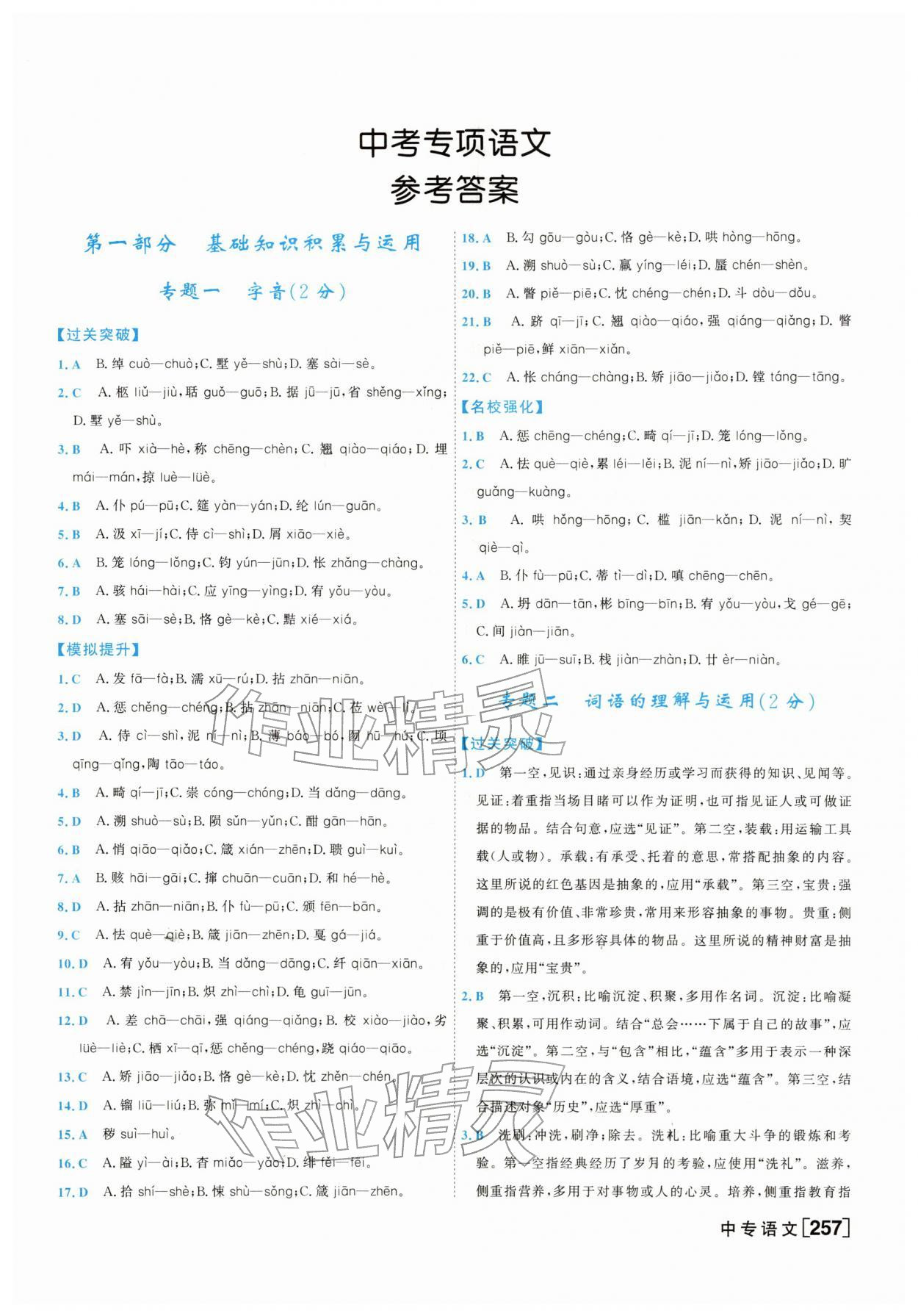 2026年一飞冲天中考专项语文&nbsp;参考答案第1页