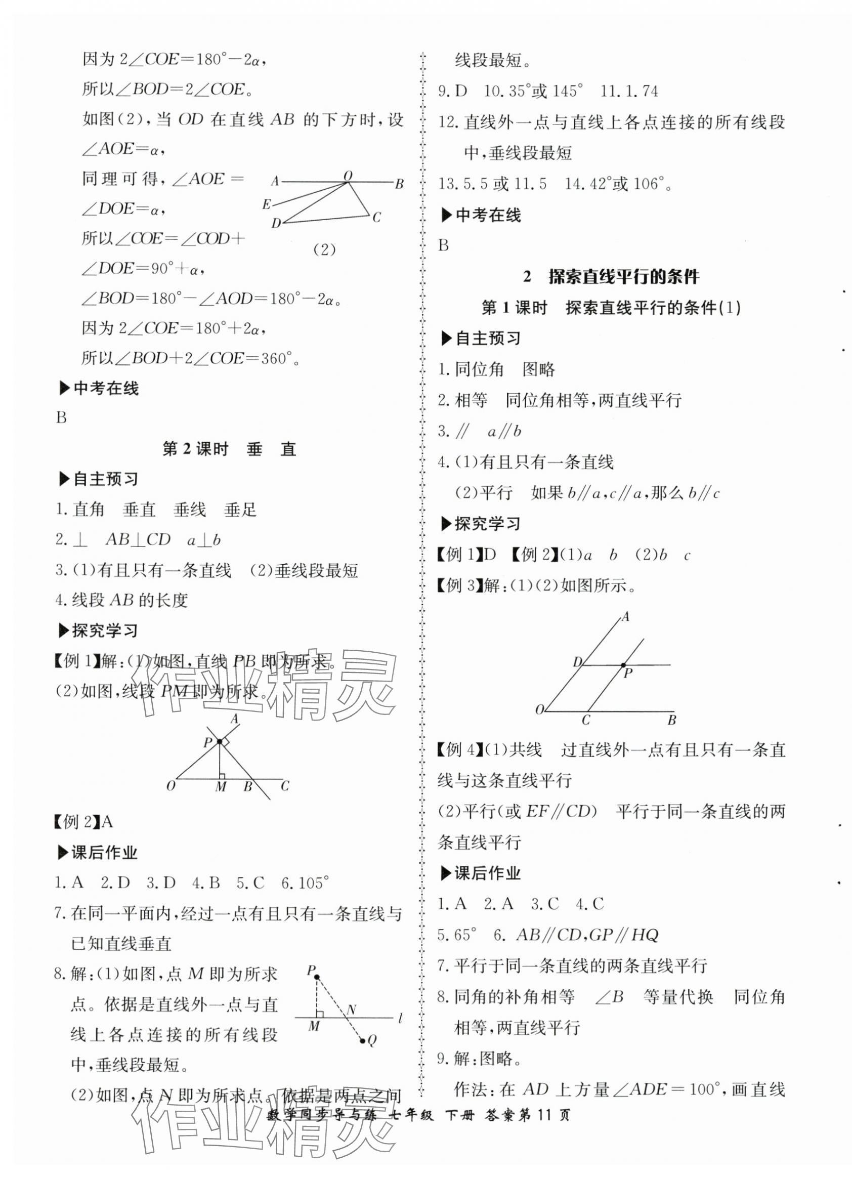2025年新學案同步導與練七年級數學下冊北師大版 第11頁