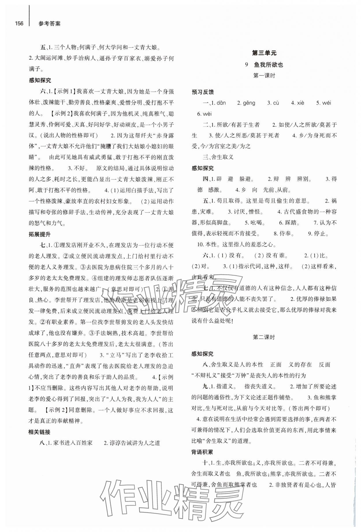2025年同步練習(xí)冊大象出版社九年級語文下冊人教版 參考答案第5頁