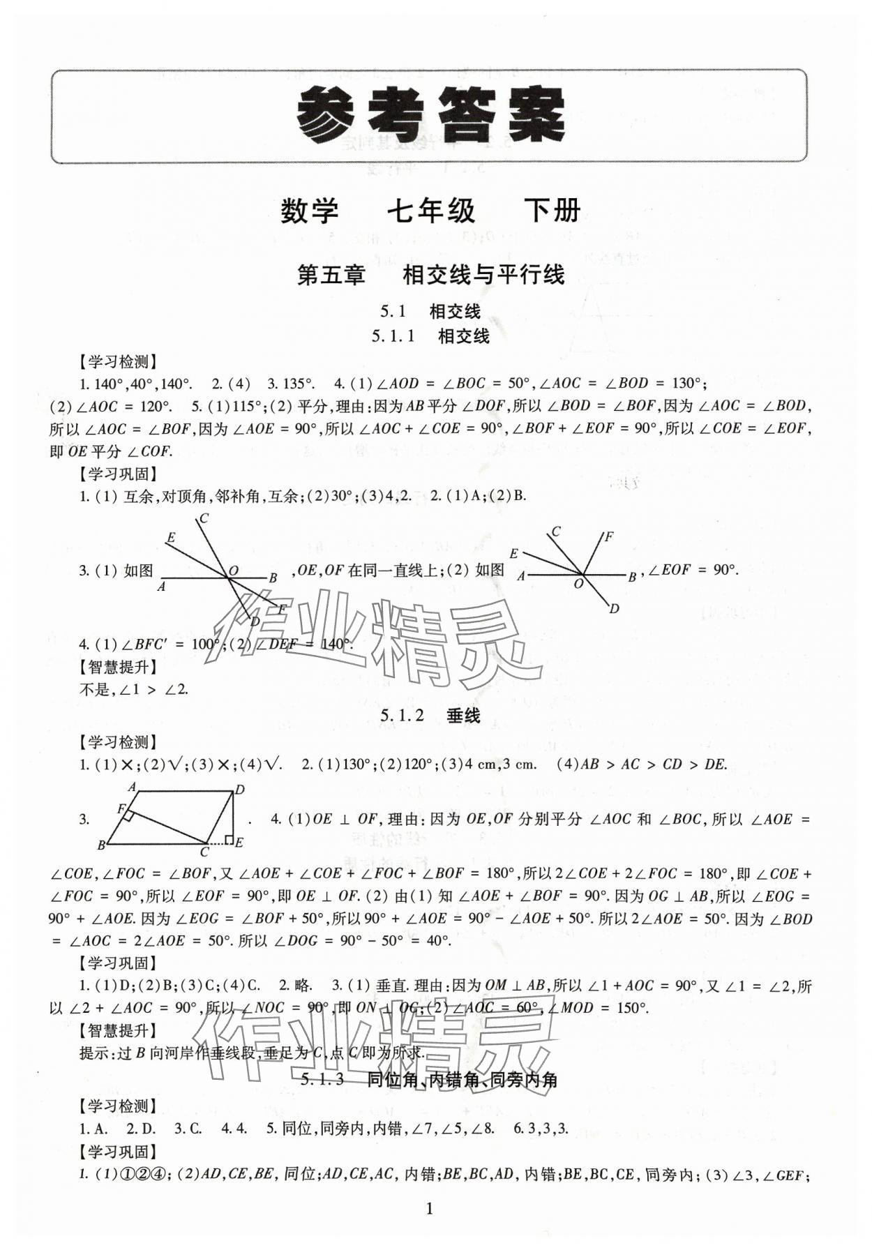 2024年智慧學(xué)習(xí)導(dǎo)學(xué)練明天出版社七年級數(shù)學(xué)下冊人教版 第1頁