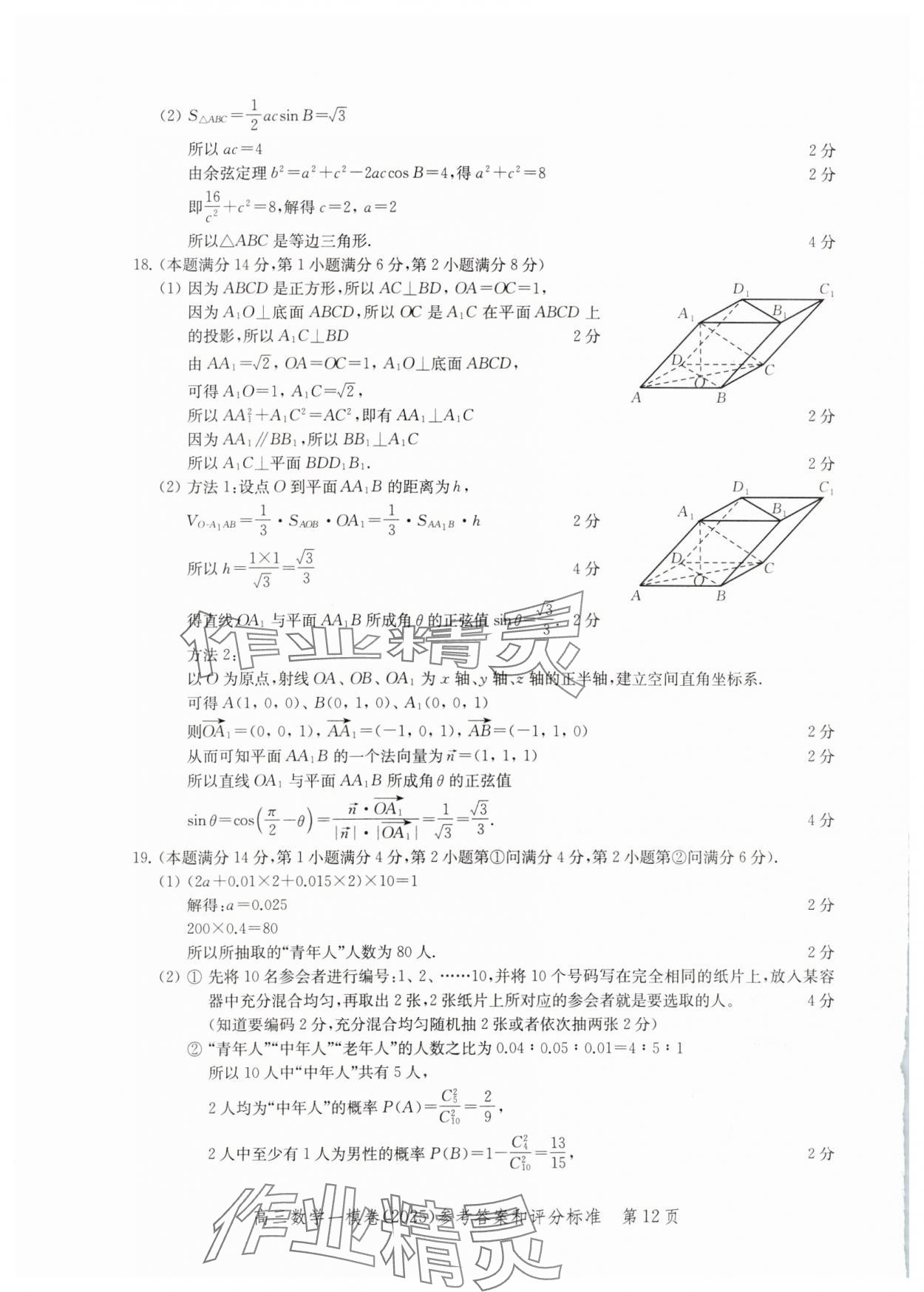 2025年文化課強(qiáng)化訓(xùn)練高考數(shù)學(xué)一模 參考答案第12頁(yè)