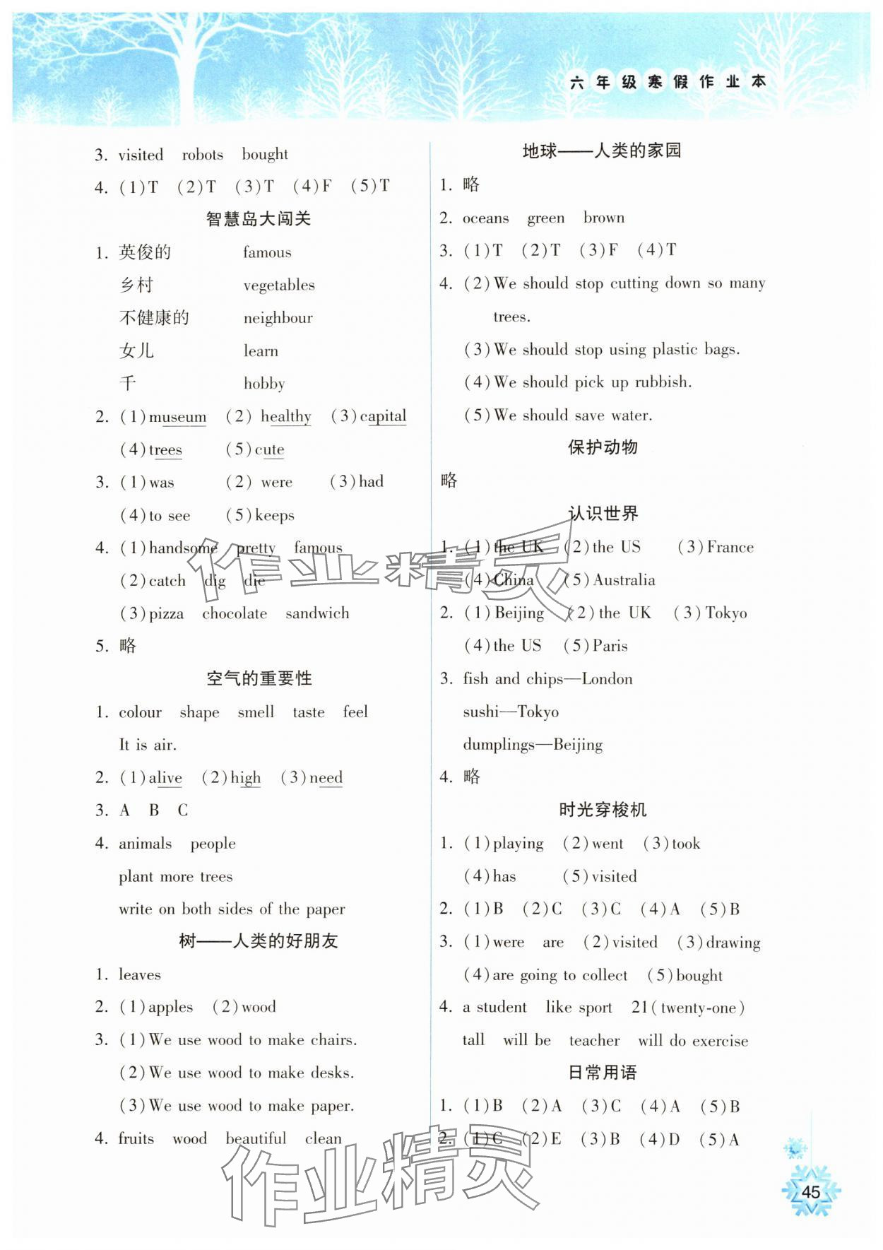 2025年寒假作业本希望出版社六年级英语沪教版 参考答案第2页