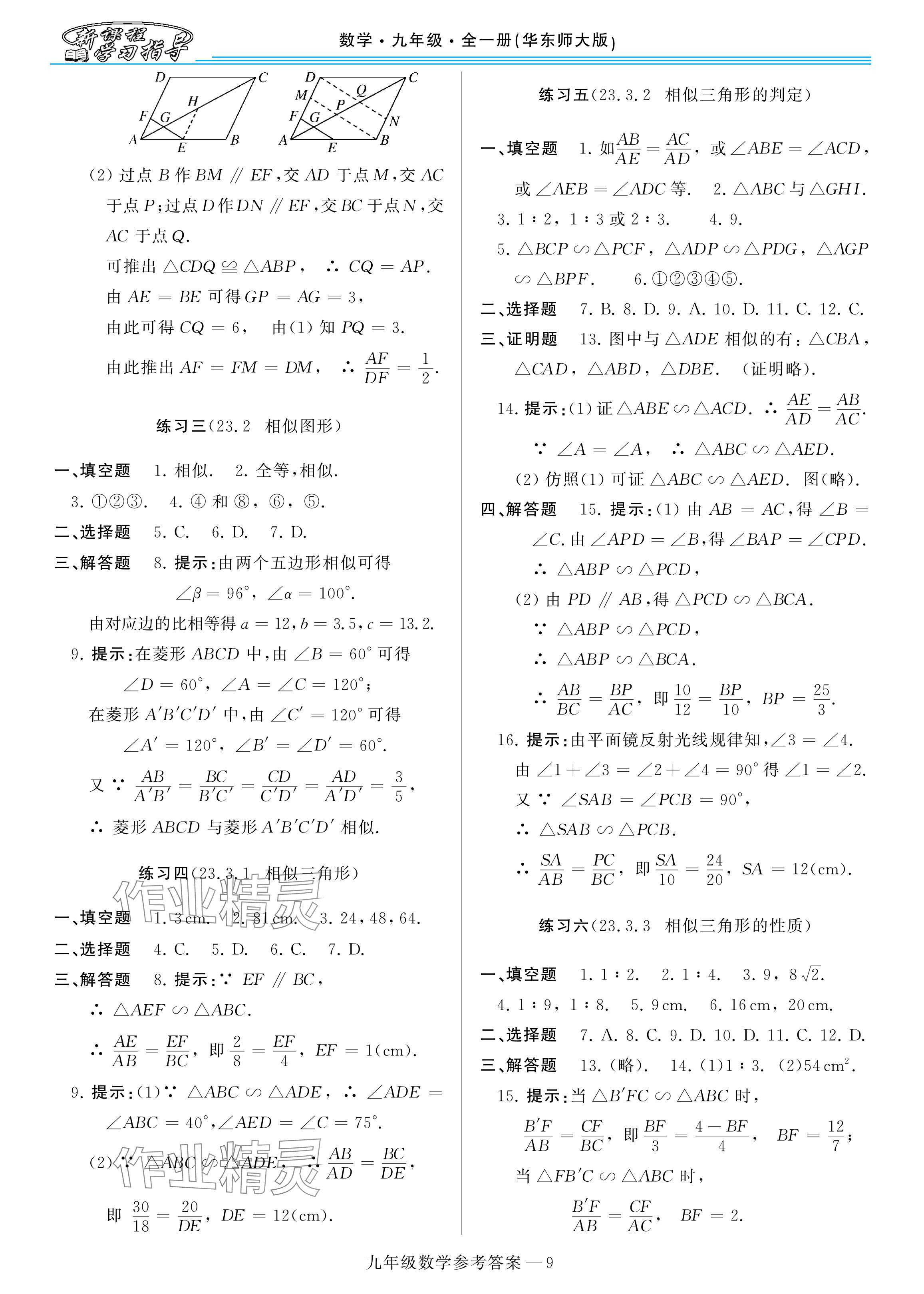 2024年新课程学习指导九年级数学全一册华师大版 参考答案第9页