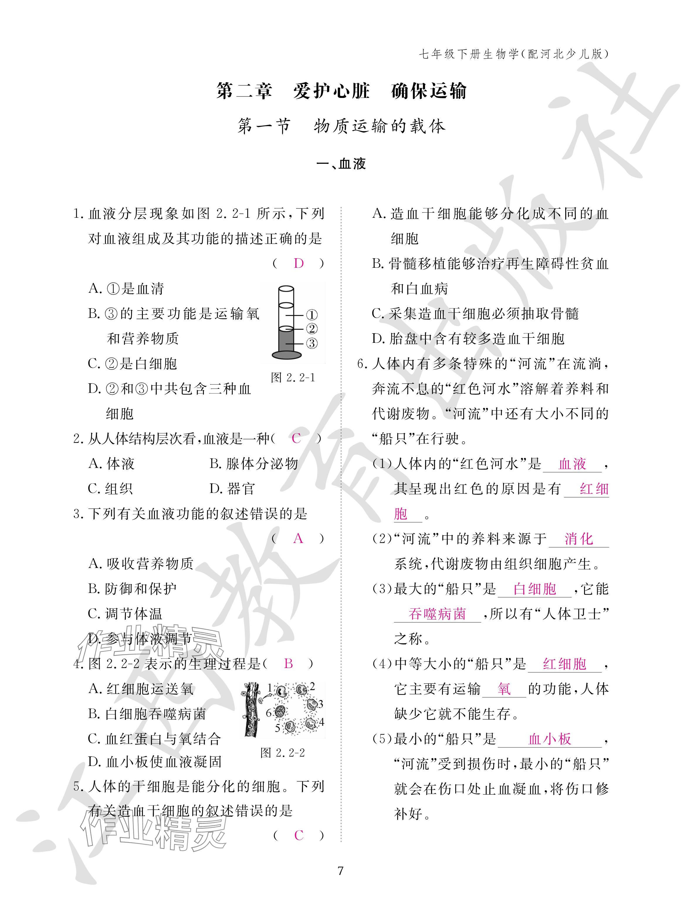 2024年作業(yè)本江西教育出版社七年級(jí)生物下冊(cè)冀少版 參考答案第7頁(yè)