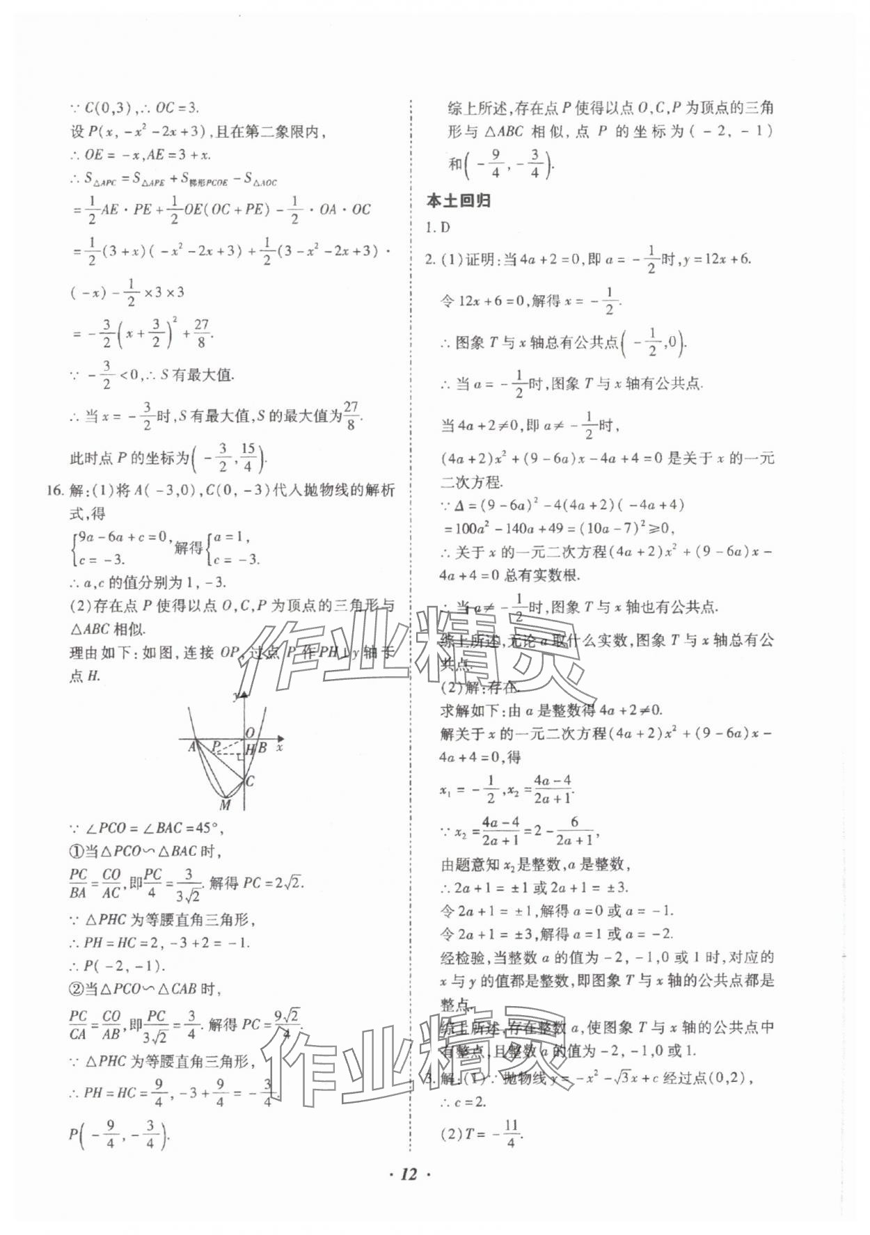 2025年本土攻略精準(zhǔn)復(fù)習(xí)方案數(shù)學(xué)中考云南專版 參考答案第12頁