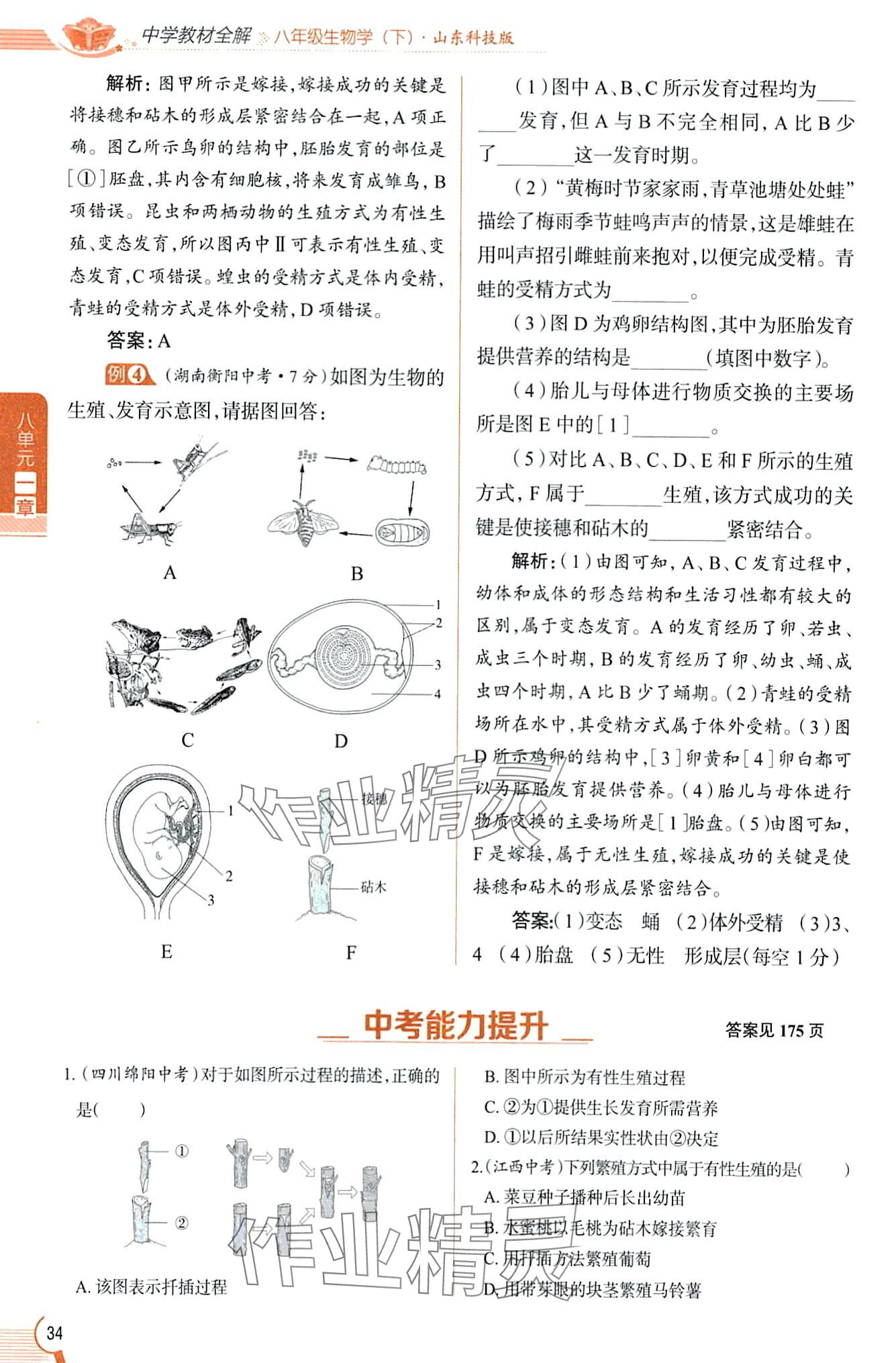2024年教材課本八年級生物下冊魯科版五四制 第34頁