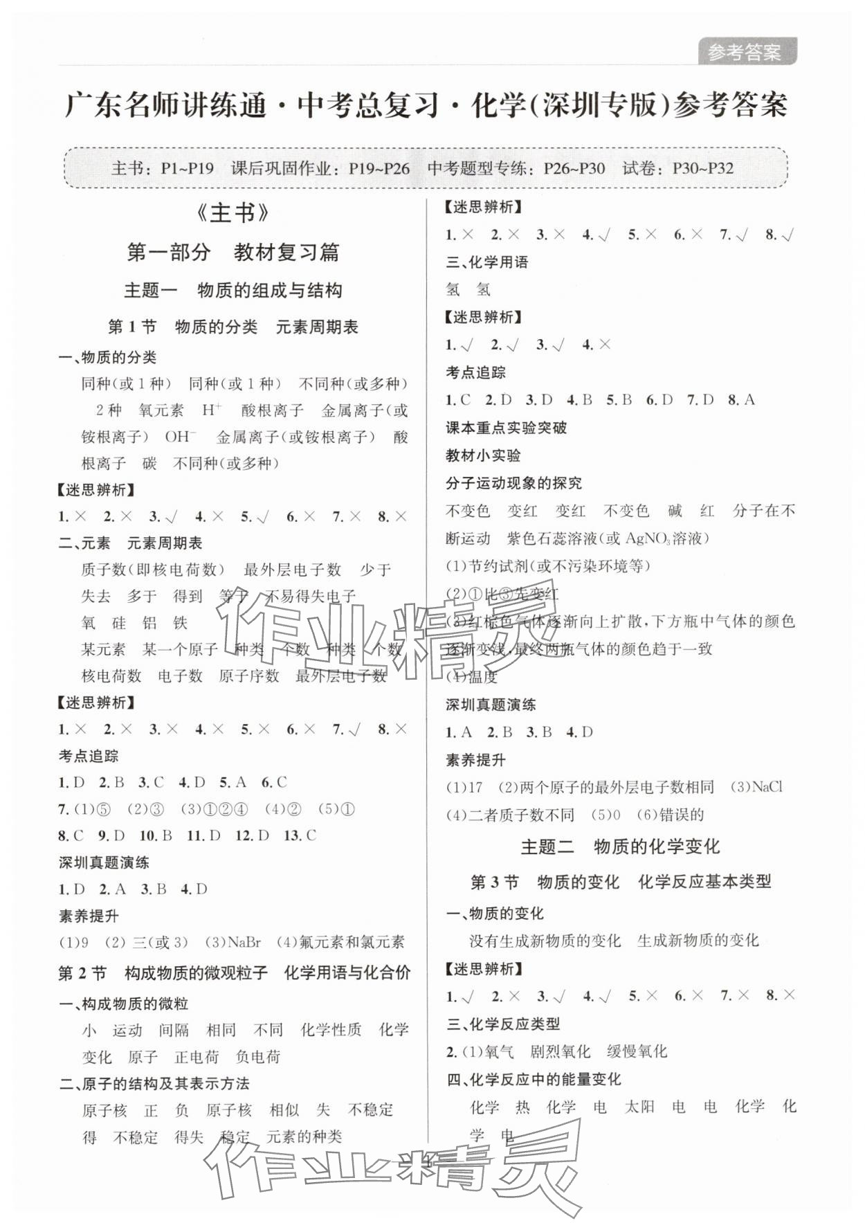 2025年廣東名師講練通中考總復習化學深圳專版 第1頁