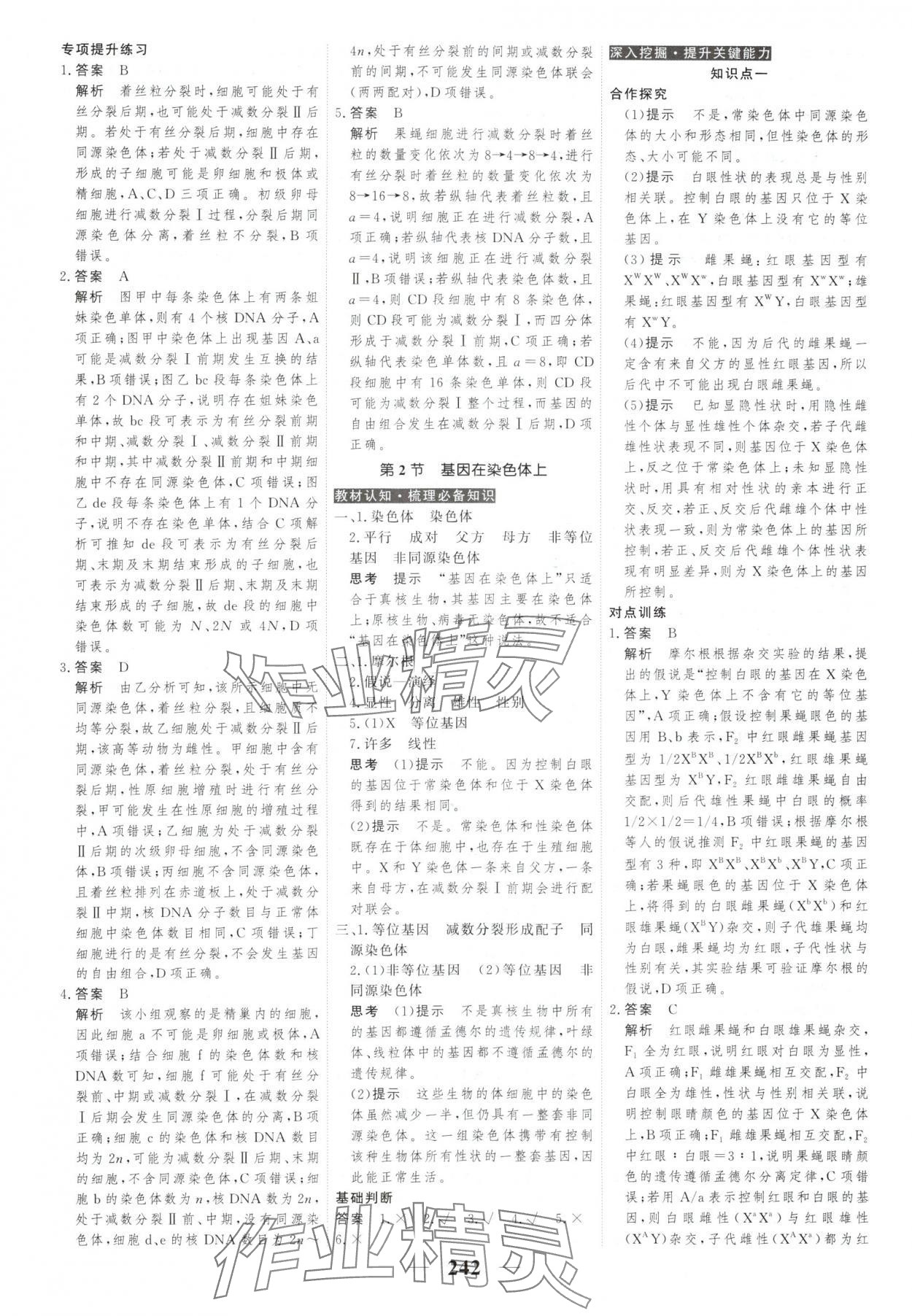 2025年新教材同步學案高考調研生物必修2人教版 第12頁