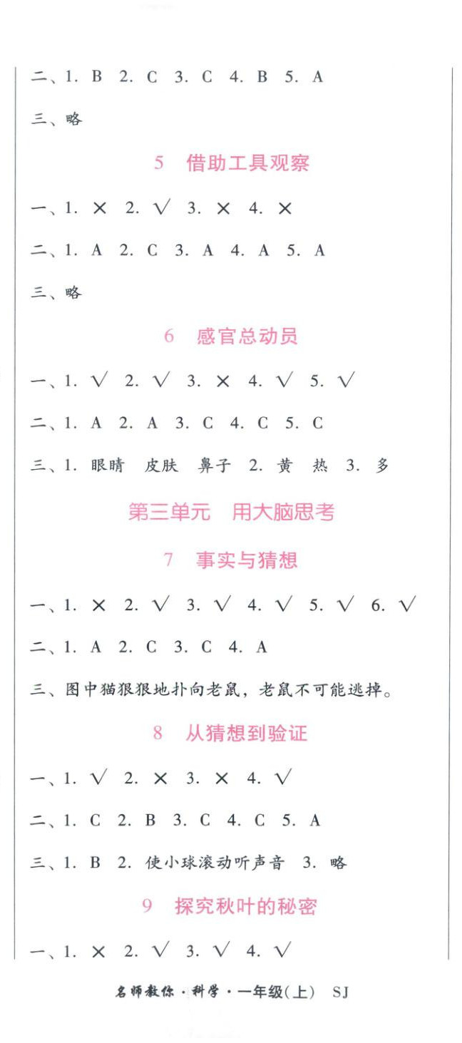 2025年小桔豆名师教你一年级科学上册苏教版 第2页