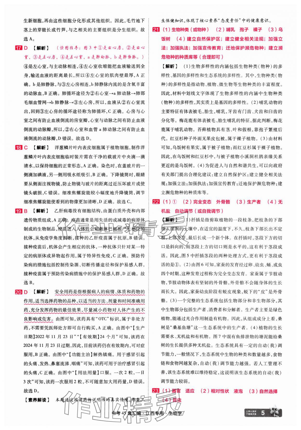 2025年金考卷45套匯編生物中考江西專版 第5頁(yè)