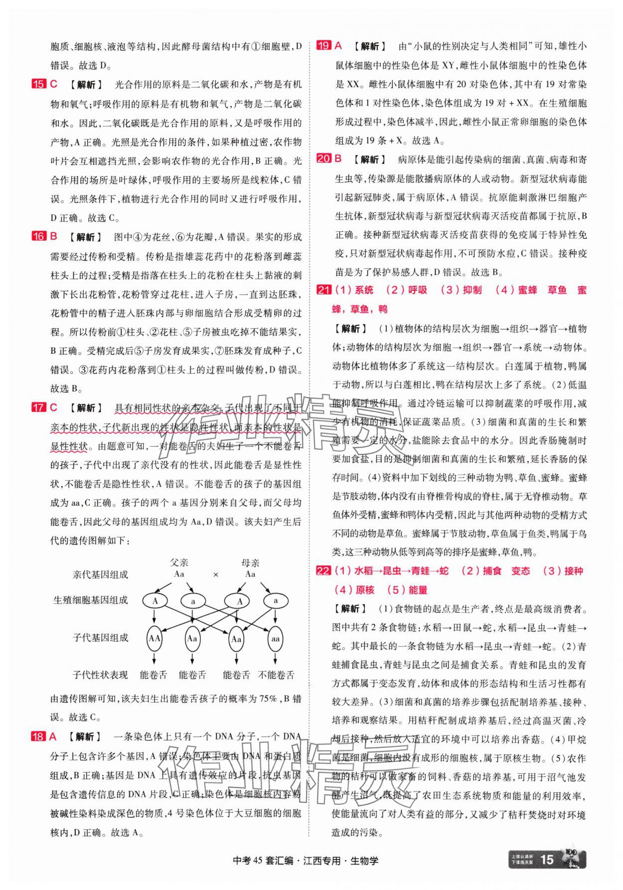 2025年金考卷45套匯編生物中考江西專版 第15頁