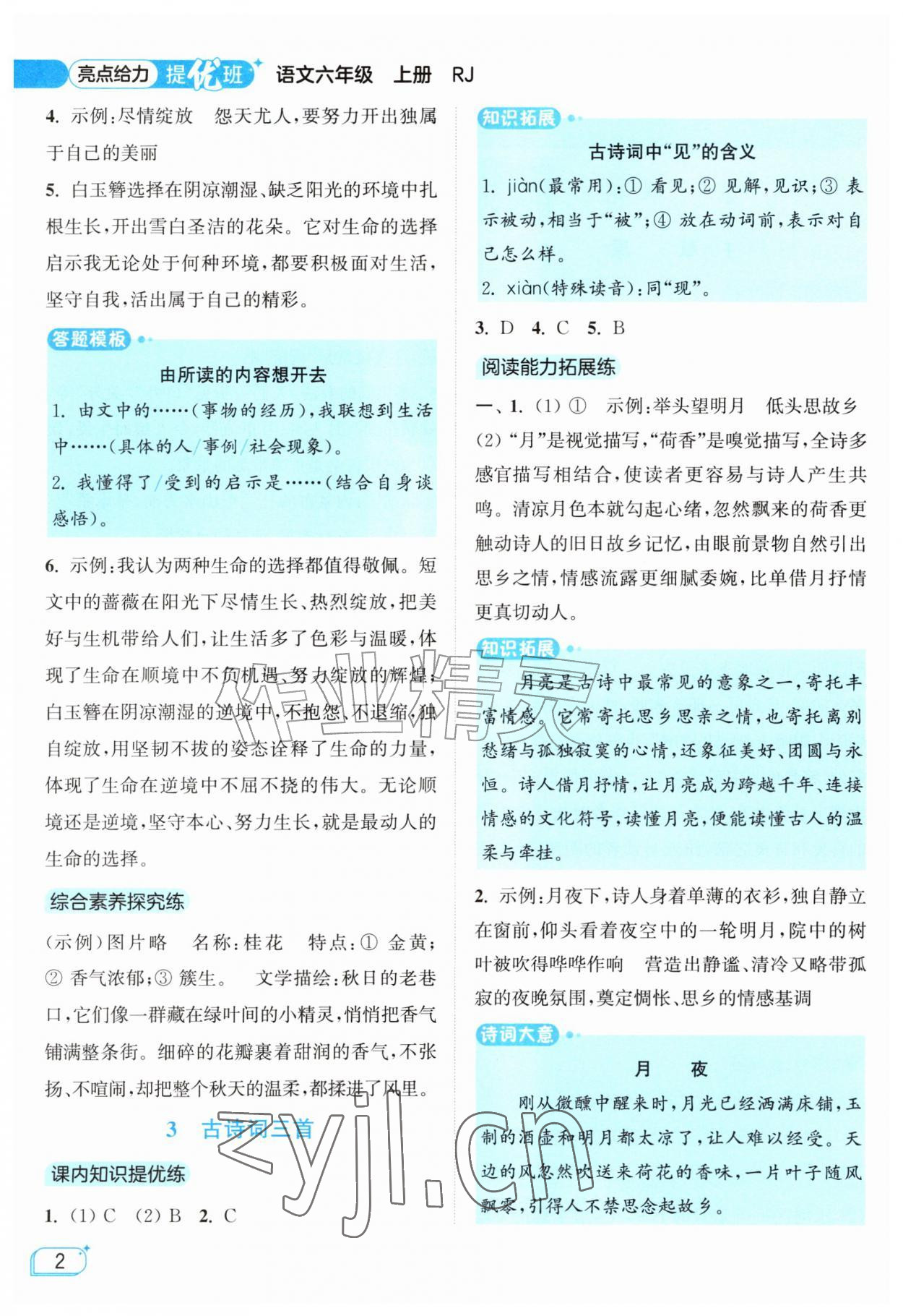 2026年亮点给力提优班六年级语文上册人教版&nbsp;参考答案第2页