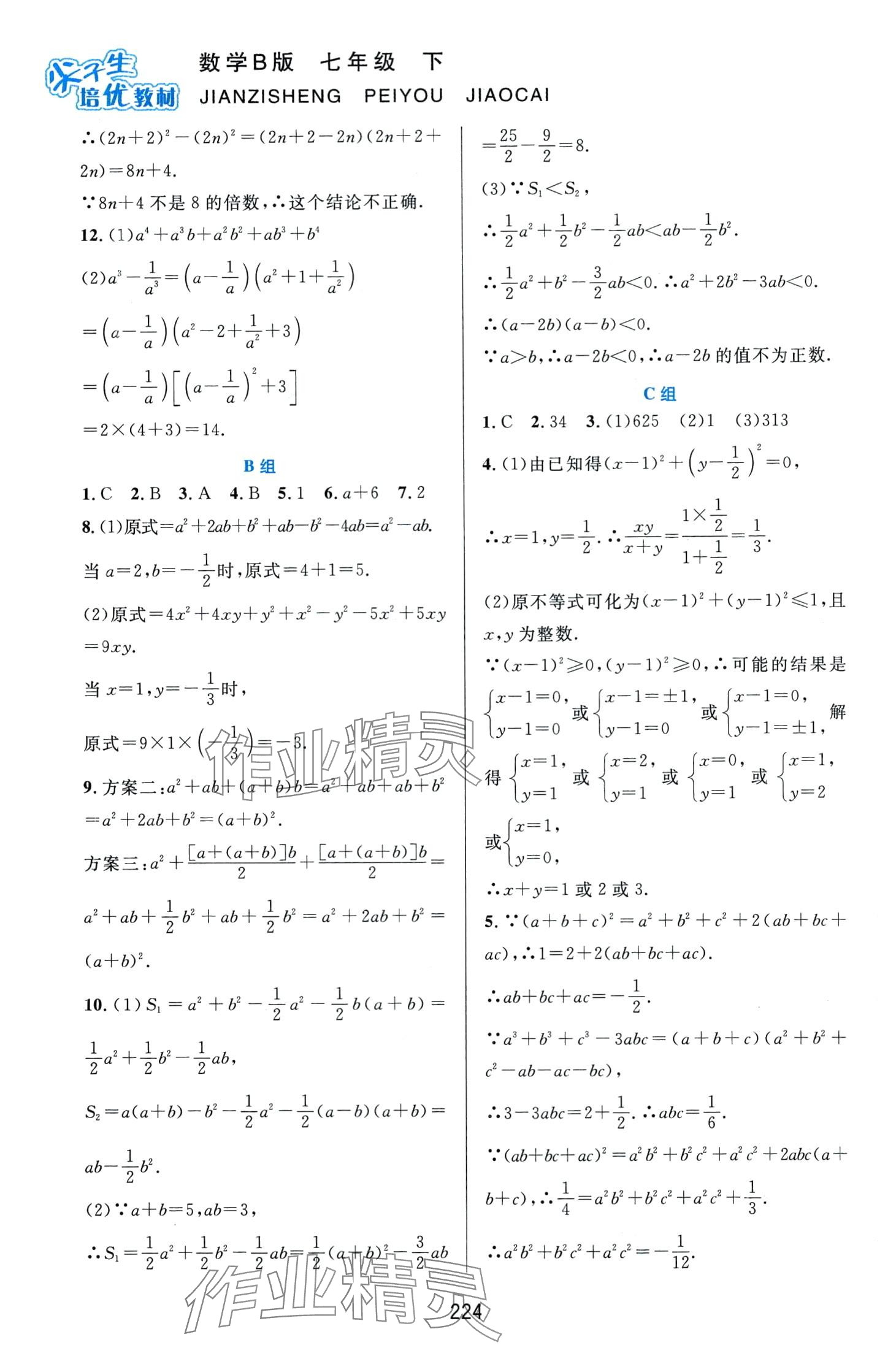 2024年尖子生培優(yōu)教材七年級數(shù)學(xué)下冊北師大版B版 第4頁