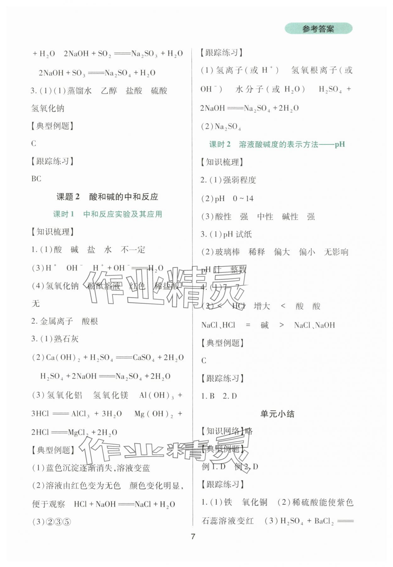 2024年新课程实践与探究丛书九年级化学下册人教版 第7页