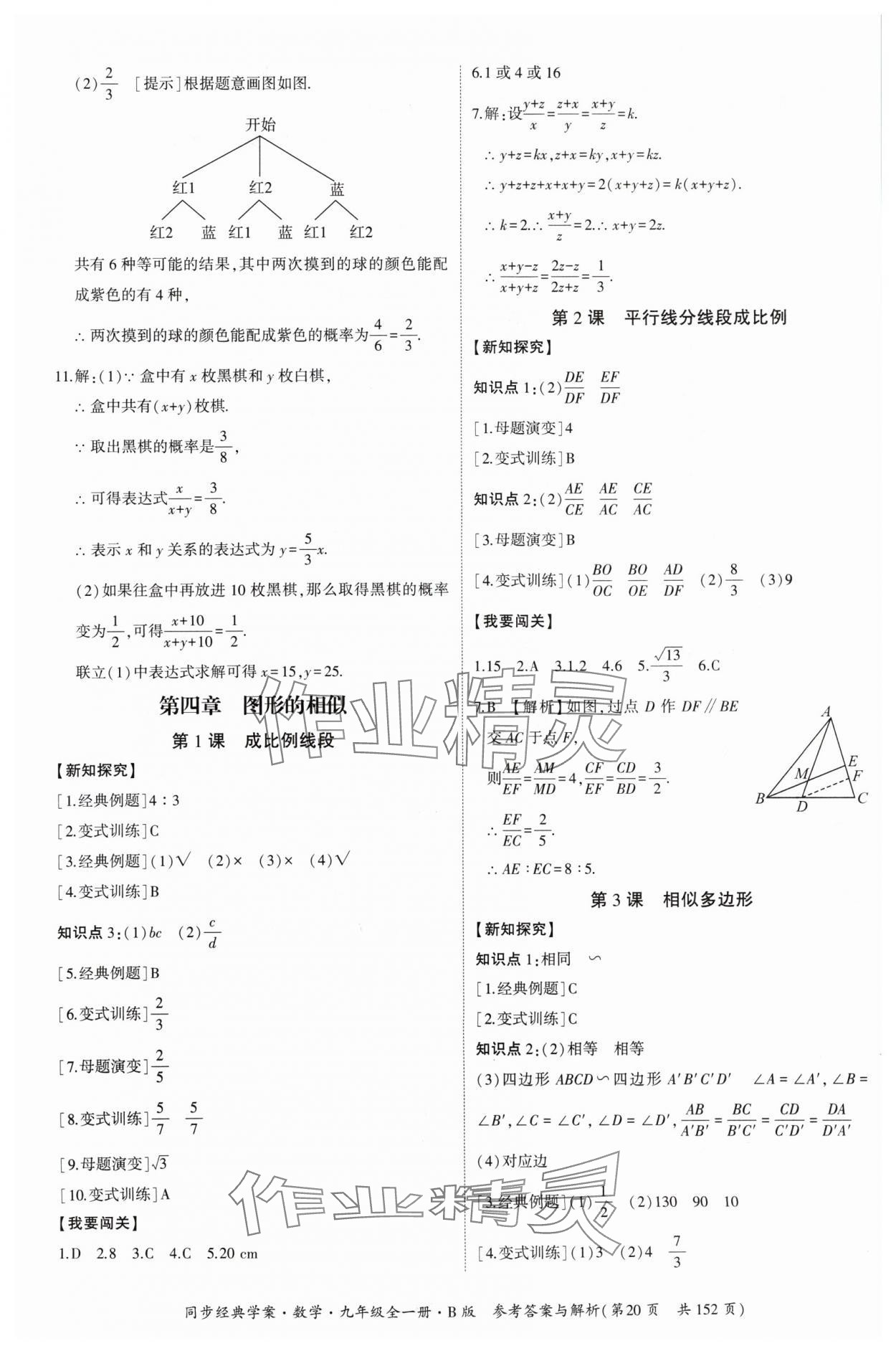 2024年同步經(jīng)典學(xué)案九年級(jí)數(shù)學(xué)全一冊(cè)北師大版 第20頁(yè)