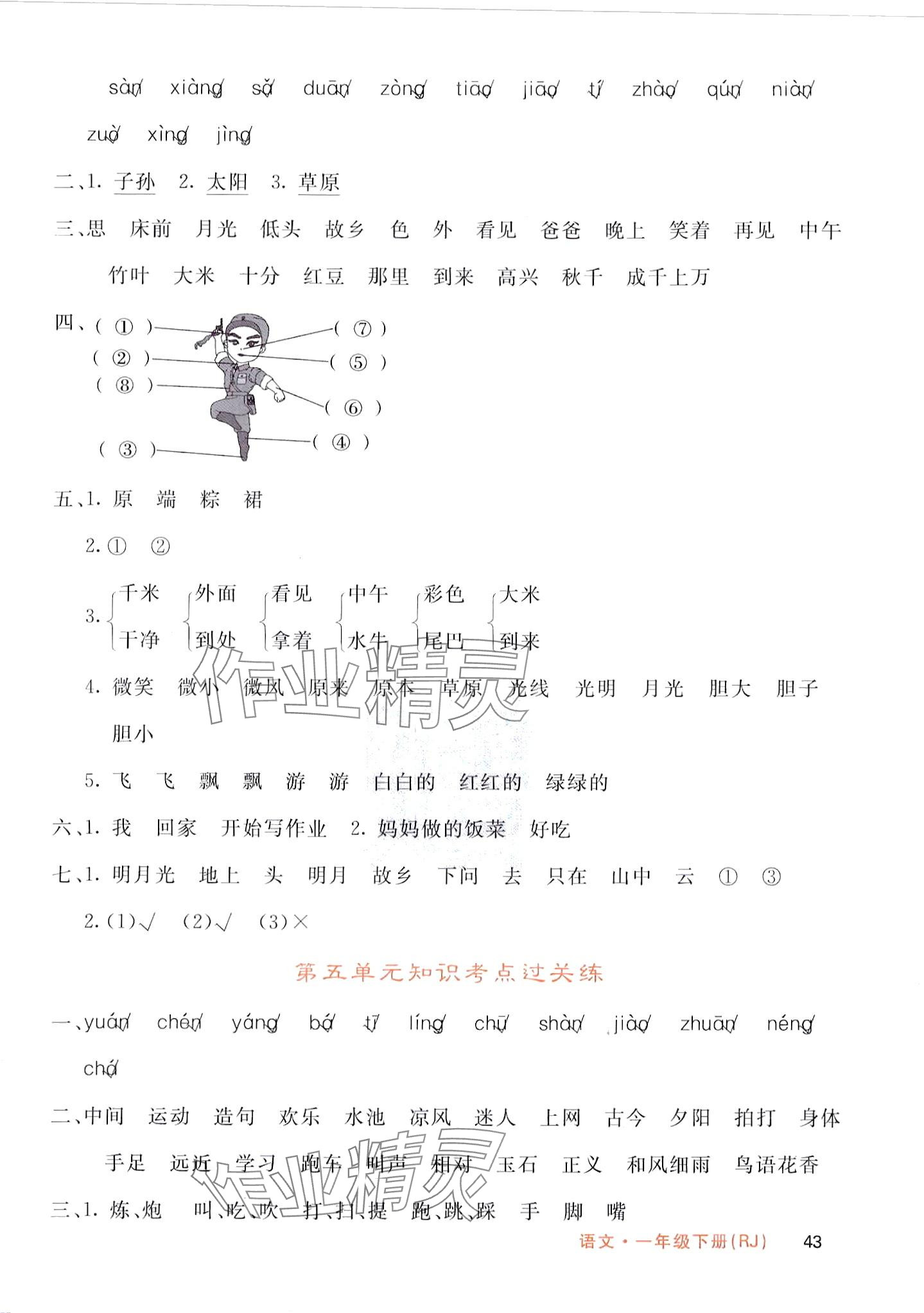 2024年课堂点睛一年级语文下册人教版湖北专版 第3页