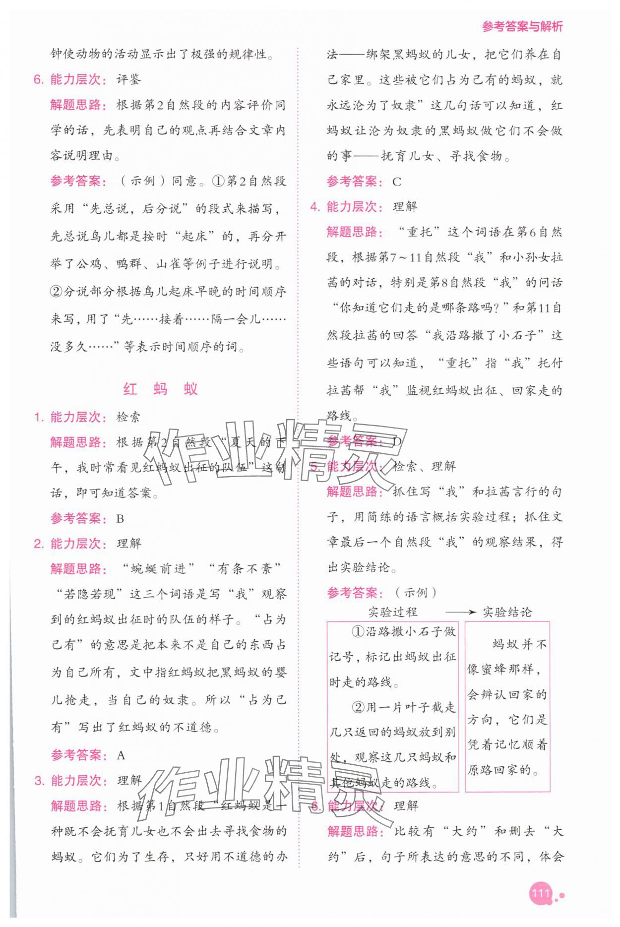 2025年深度閱讀訓練冊三年級語文下冊人教B版福建專版 參考答案第9頁