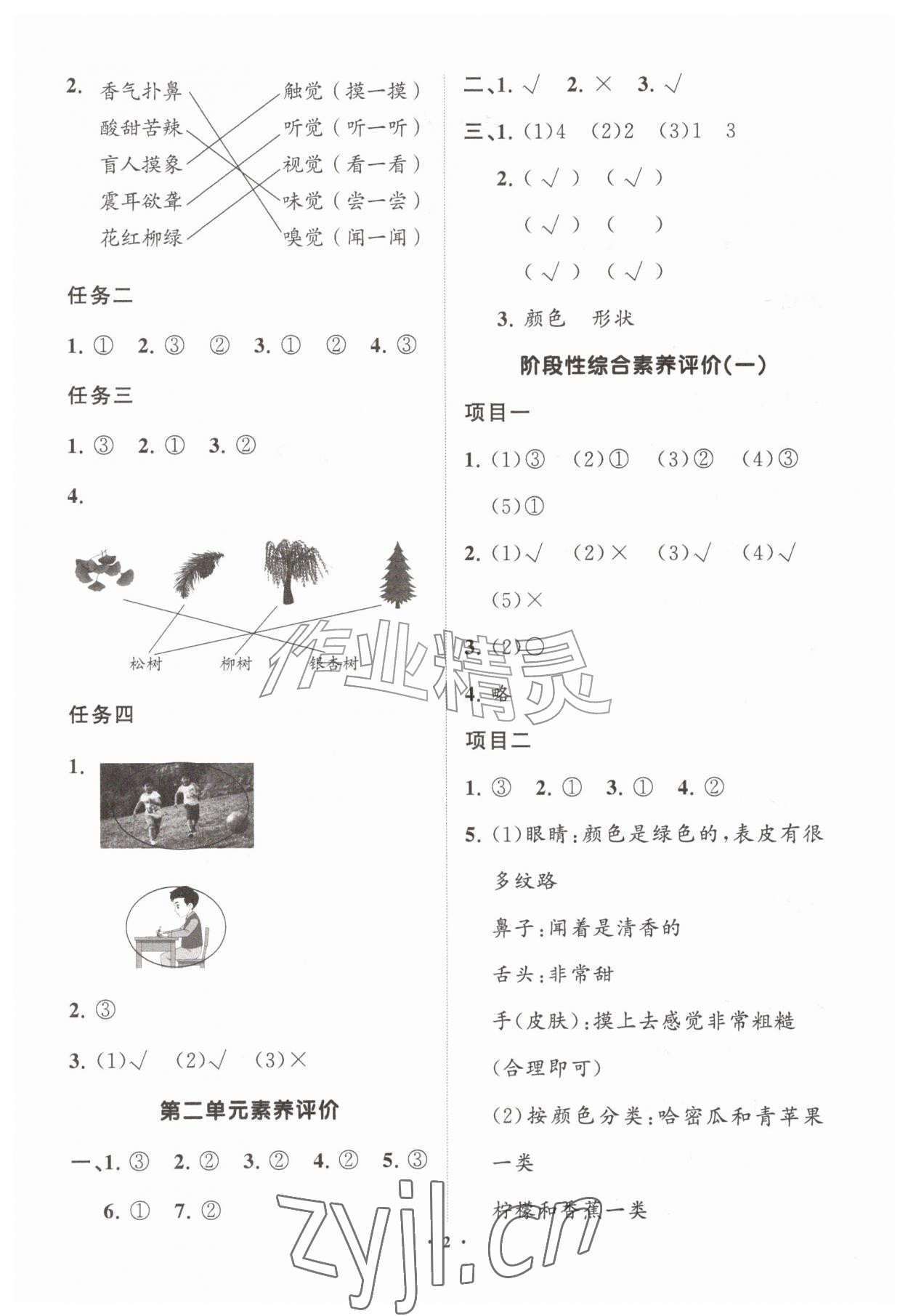 2026年同步练习册分层指导一年级科学上册青岛版&nbsp;第2页