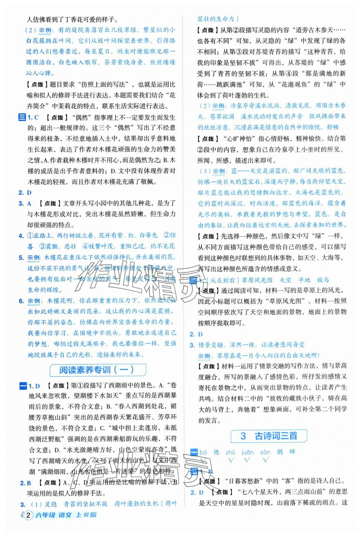2025年综合应用创新题典中点六年级语文上册人教版福建专版 参考答案第2页