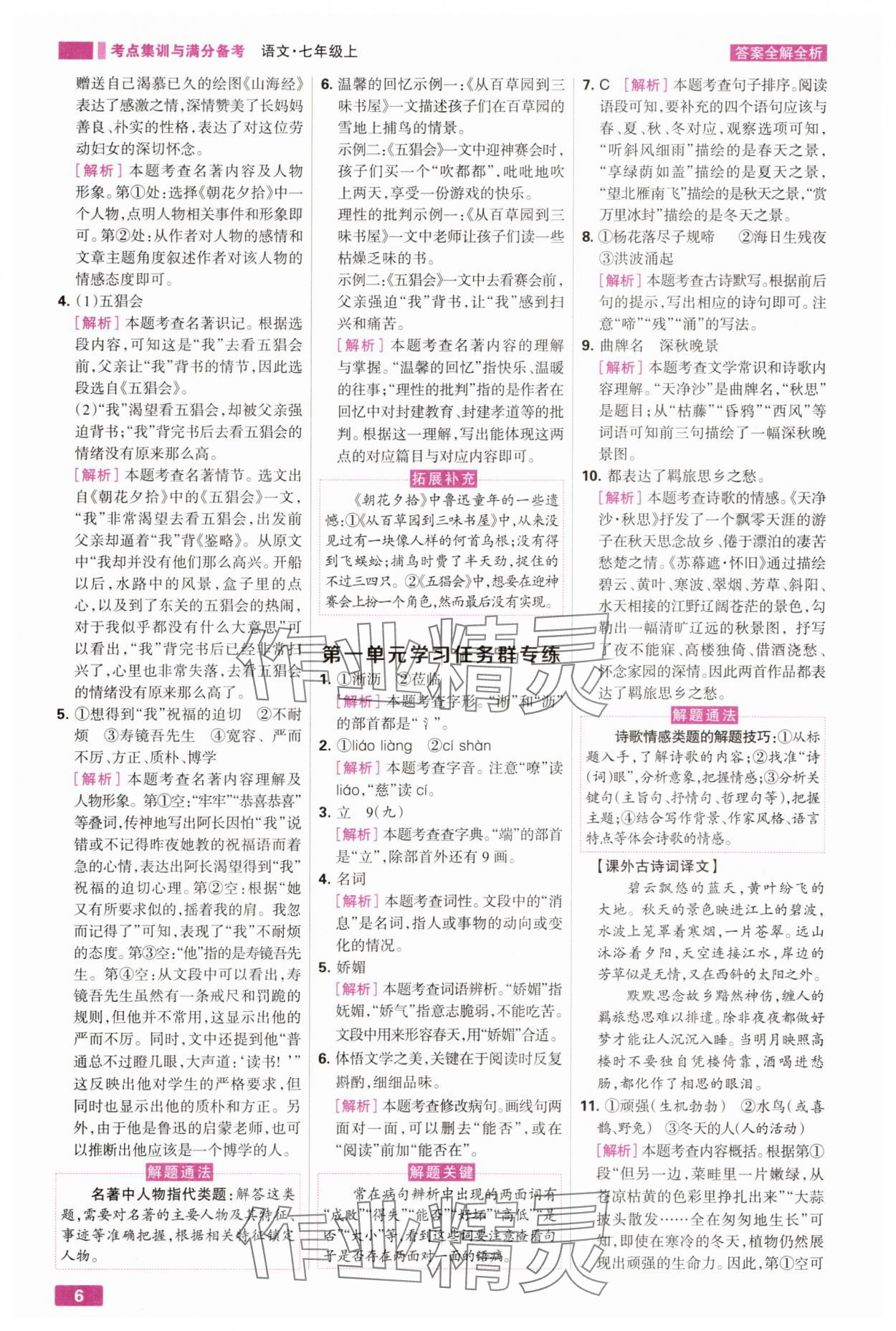 2025年考点集训与满分备考七年级语文上册人教版 第6页