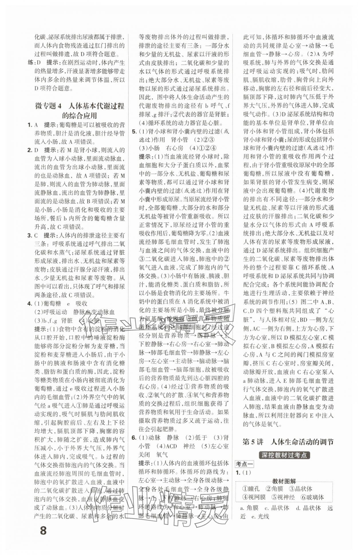 2025年全优中考系统总复习生物河北专版 第8页