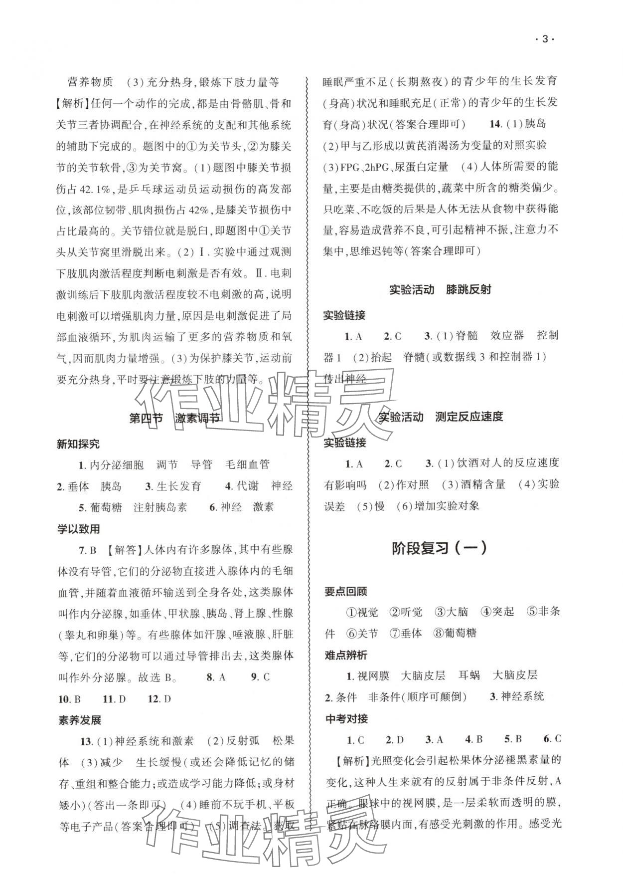 2025年基礎(chǔ)訓(xùn)練大象出版社八年級(jí)生物上冊(cè)人教版&nbsp;參考答案第3頁