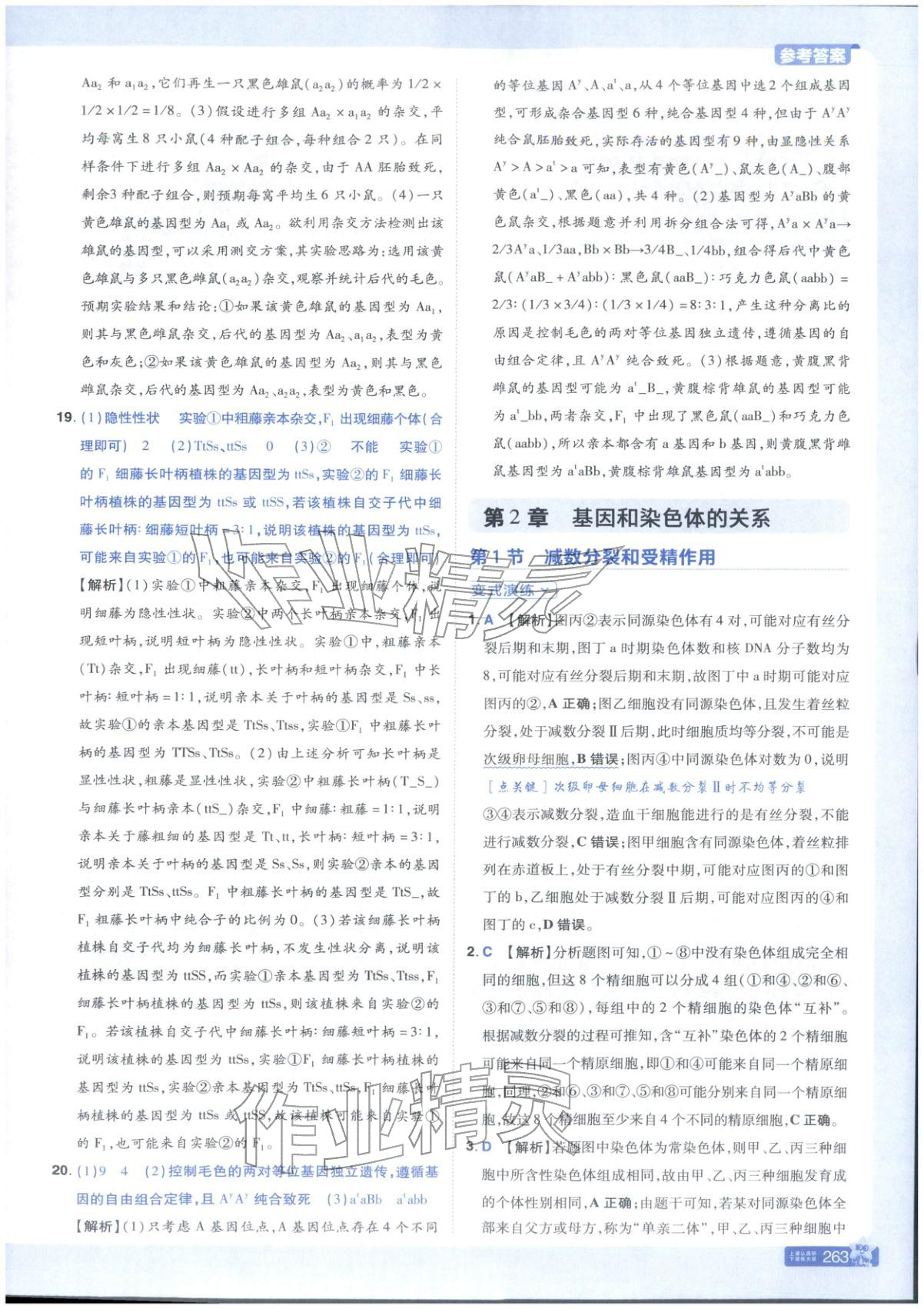 2025年教材幫高中生物必修第二冊人教版 第11頁