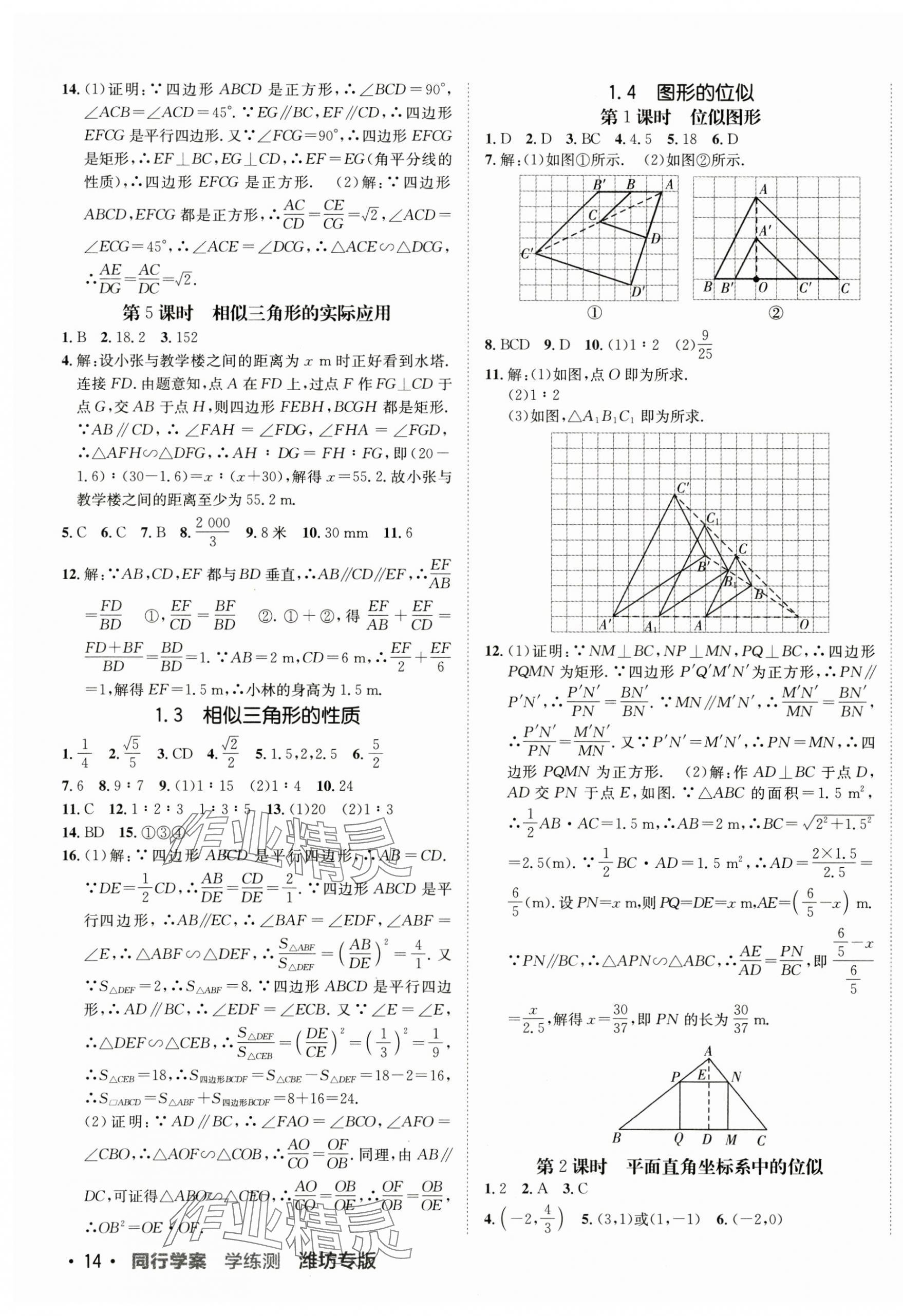 2024年同行學(xué)案九年級(jí)數(shù)學(xué)上冊(cè)青島版 第3頁(yè)