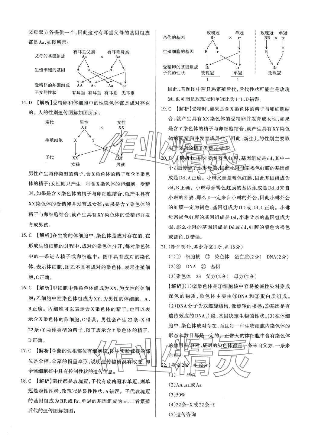 2024年山西名師原創(chuàng)試卷八年級生物下冊蘇教版 第5頁