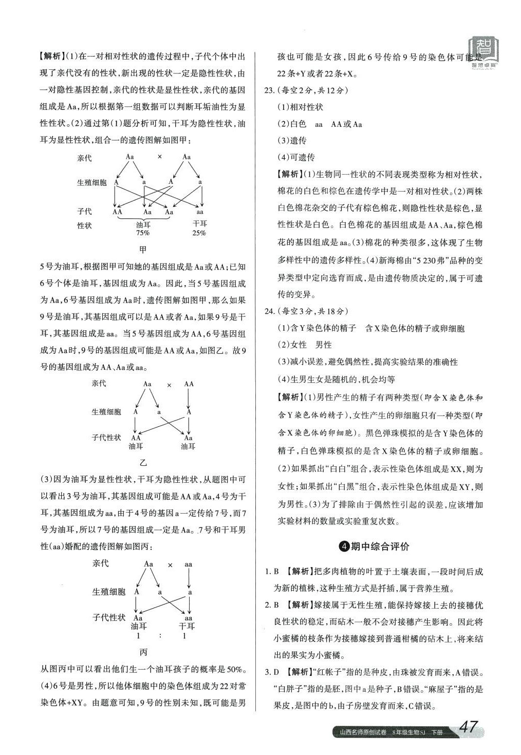 2024年山西名師原創(chuàng)試卷八年級生物下冊蘇教版 第6頁