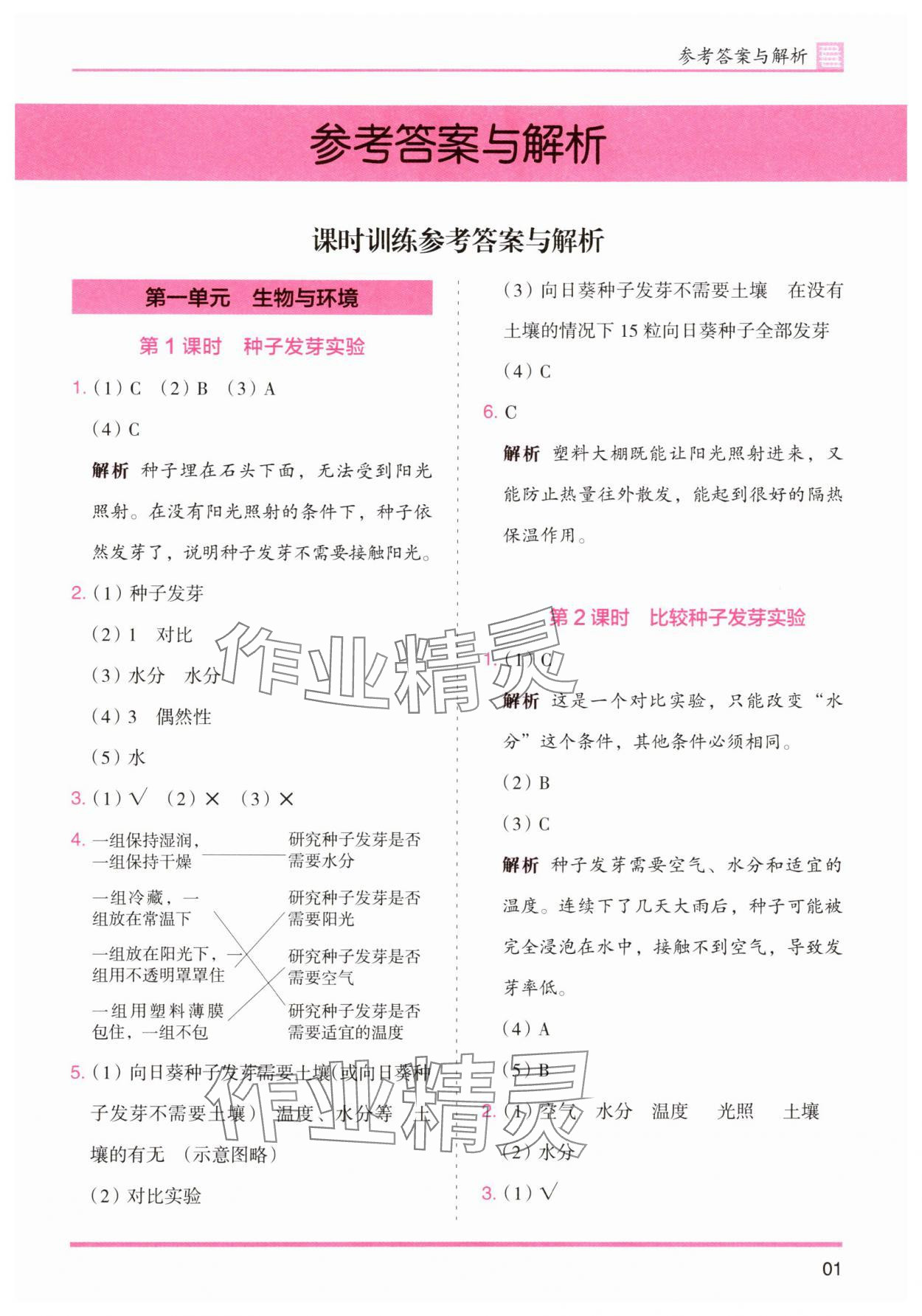 2025年木頭馬分層課課練五年級科學(xué)下冊教科版 第1頁