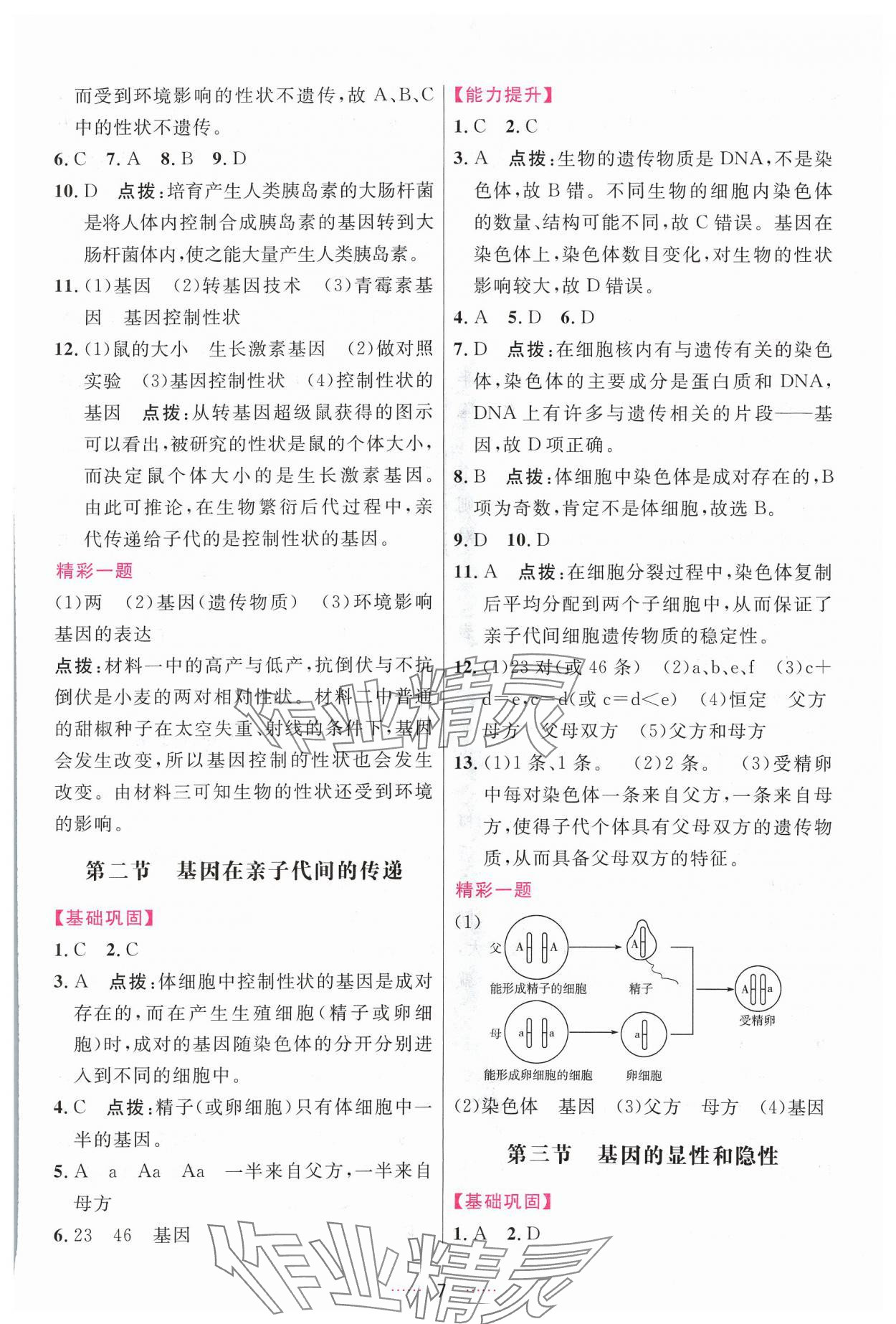 2024年三維數(shù)字課堂八年級生物下冊人教版 第7頁