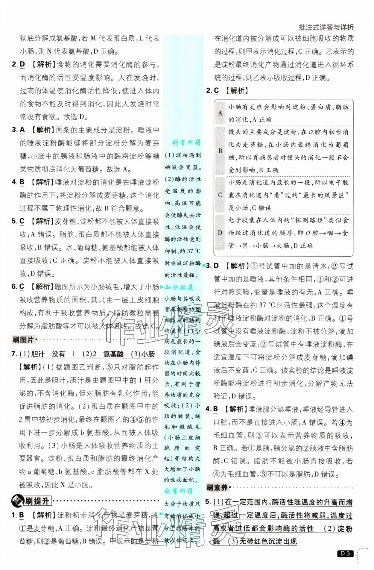 2025年初中必刷题八年级生物上册苏教版&nbsp;第3页