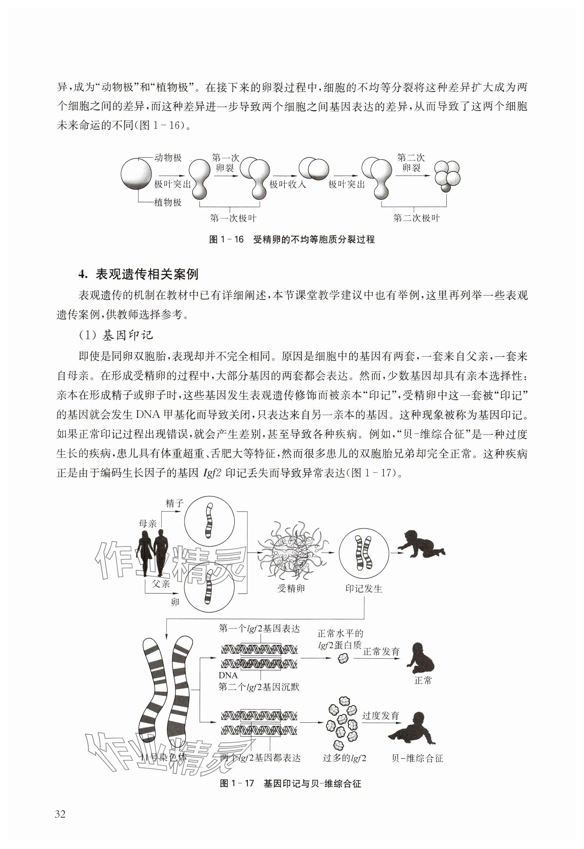 2024年教材課本高中生物必修2滬教版 參考答案第32頁