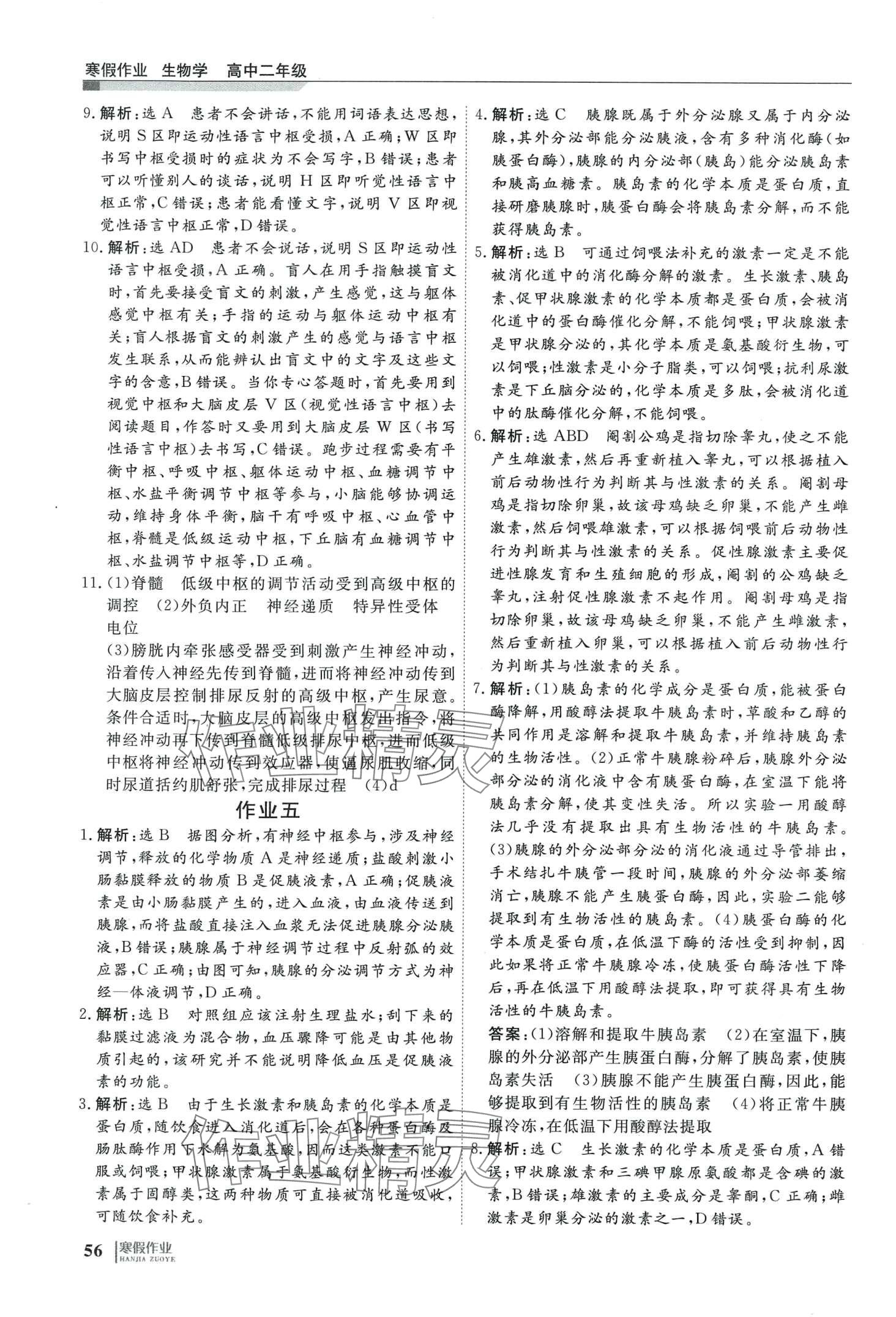 2024年自主學習假期刷題計劃高二生物 第4頁