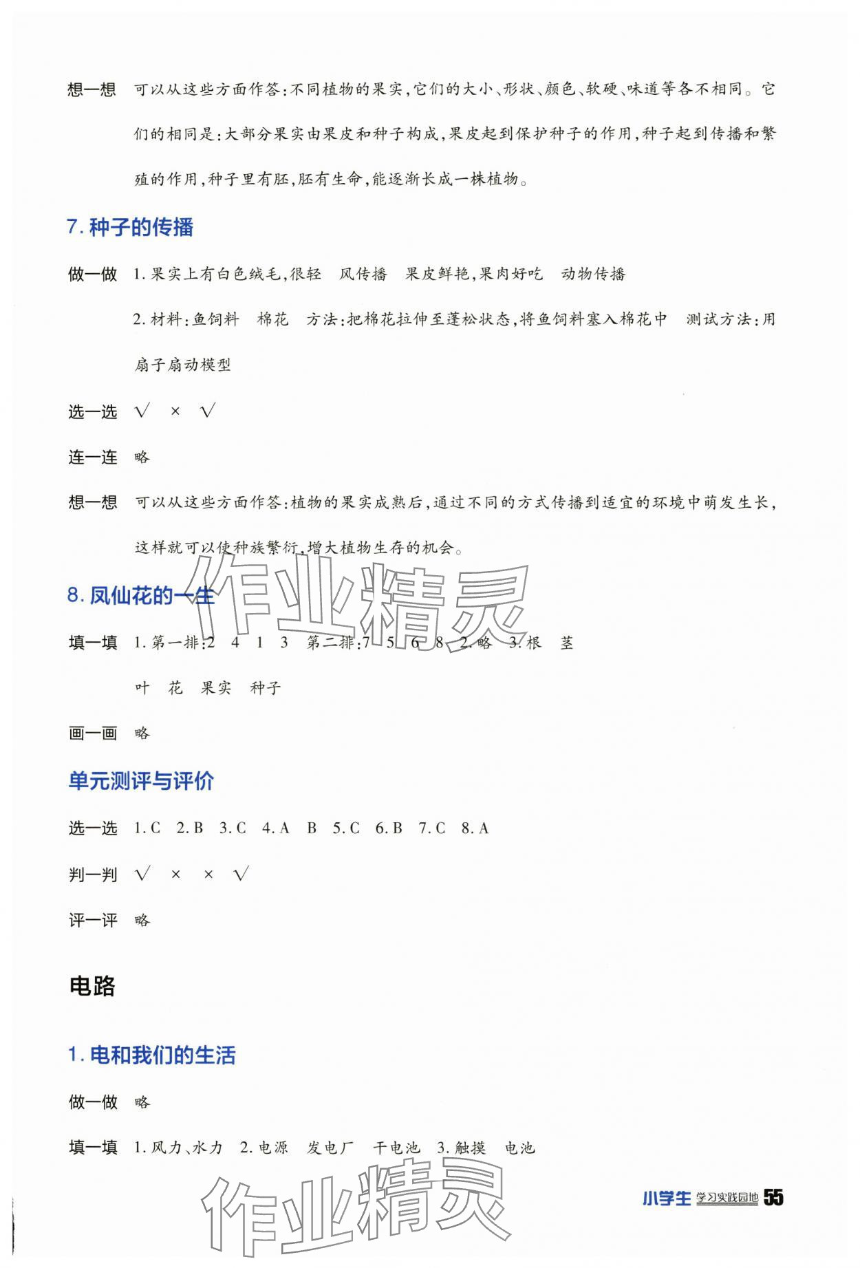 2025年學習實踐園地四年級科學下冊教科版 參考答案第3頁
